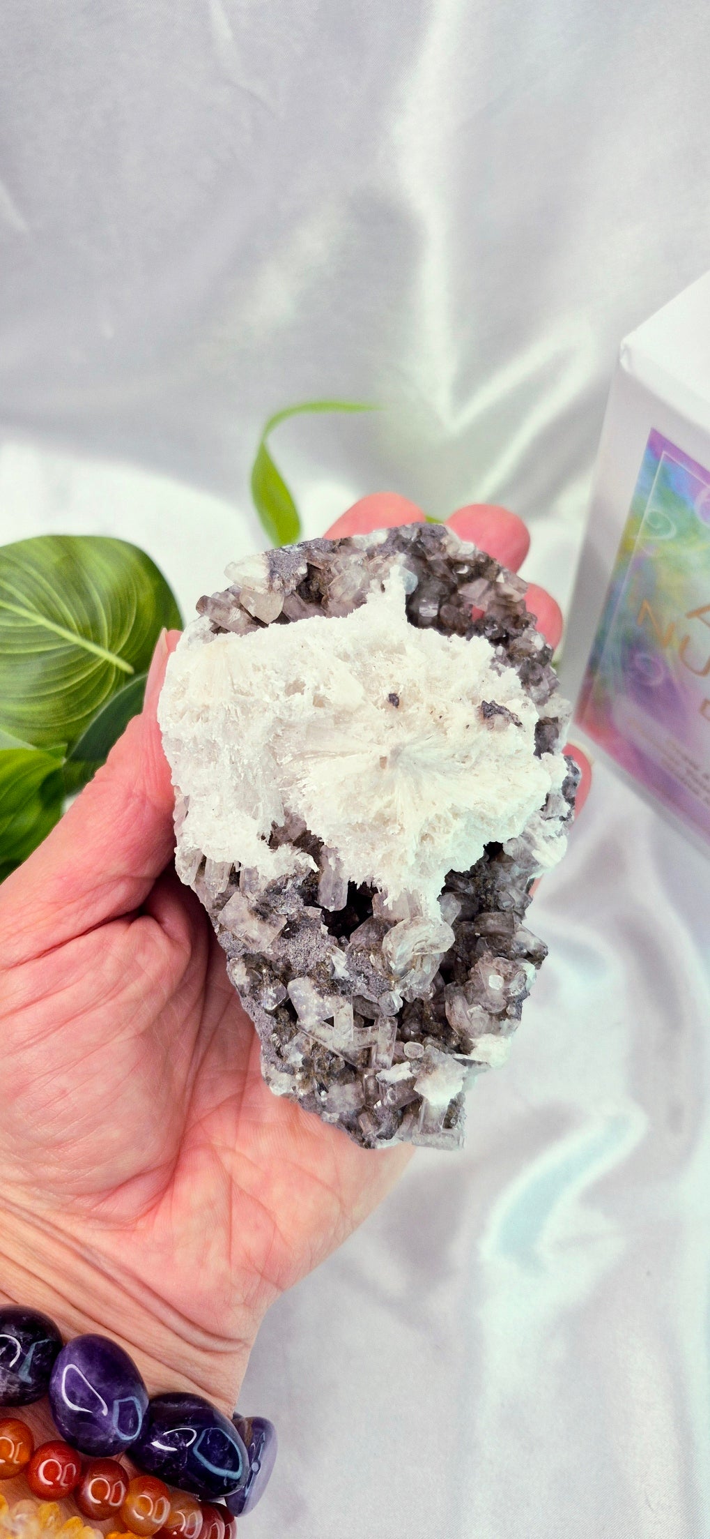 Apophyllite and Scolecite Cluster Specimen