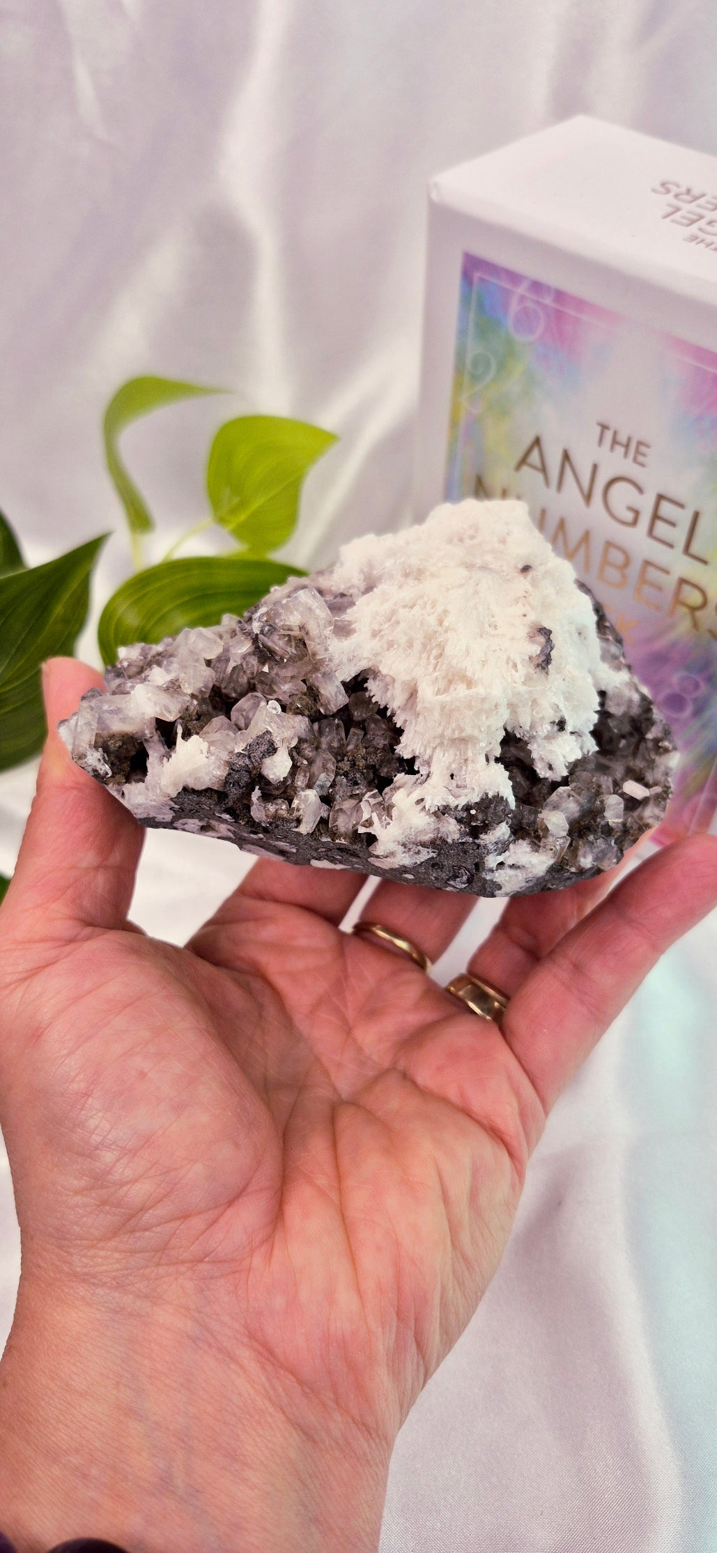 Apophyllite and Scolecite Cluster Specimen