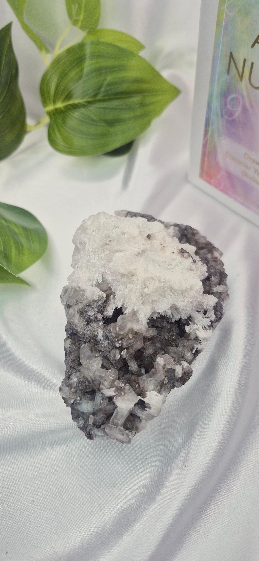 Apophyllite and Scolecite Cluster Specimen