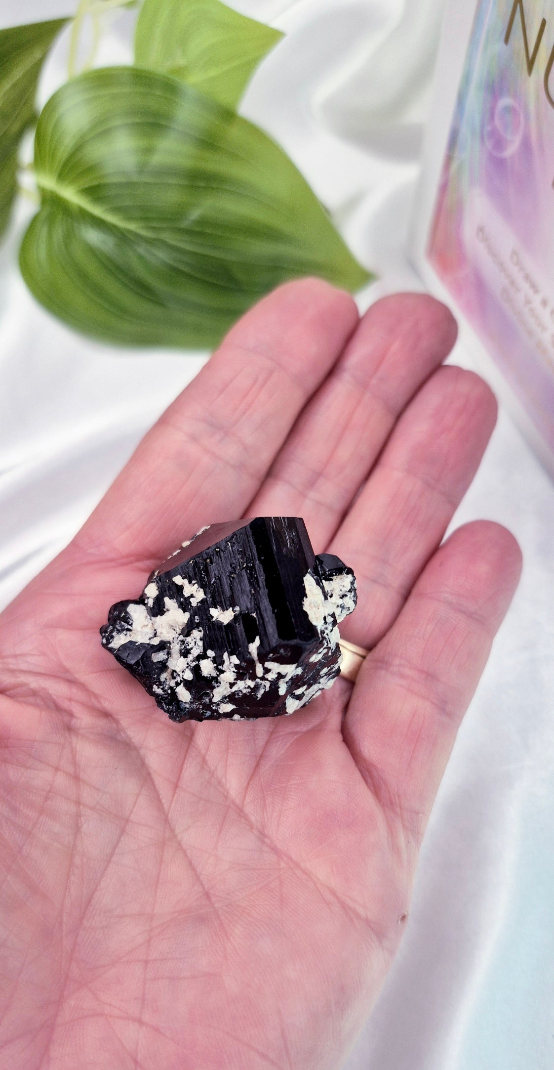 Natural Schorl Black Tourmaline with Hyalite Inclusions Specimen