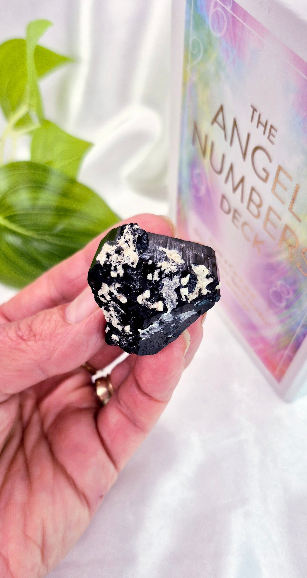 Natural Schorl Black Tourmaline with Hyalite Inclusions Specimen