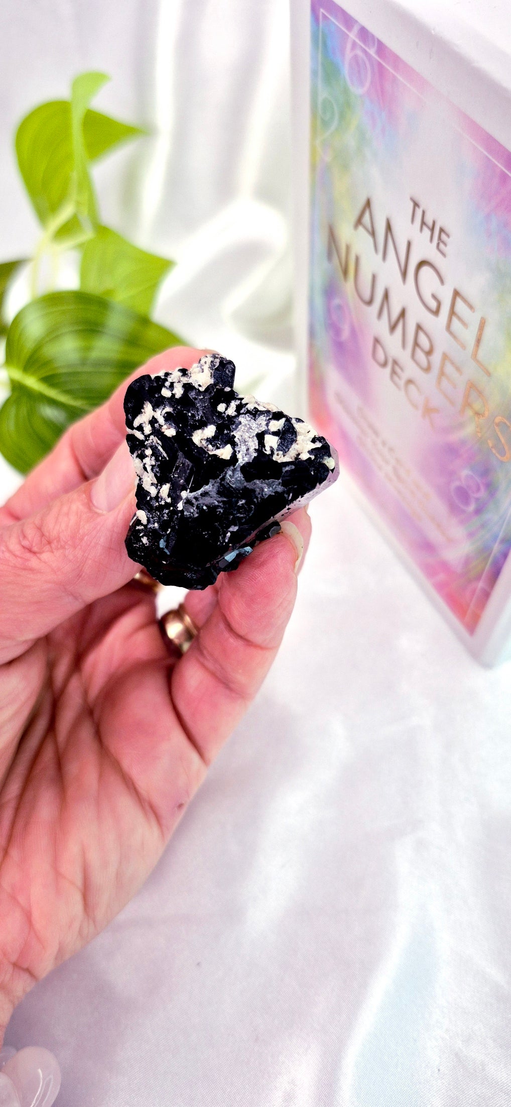 Natural Schorl Black Tourmaline with Hyalite Inclusions Specimen