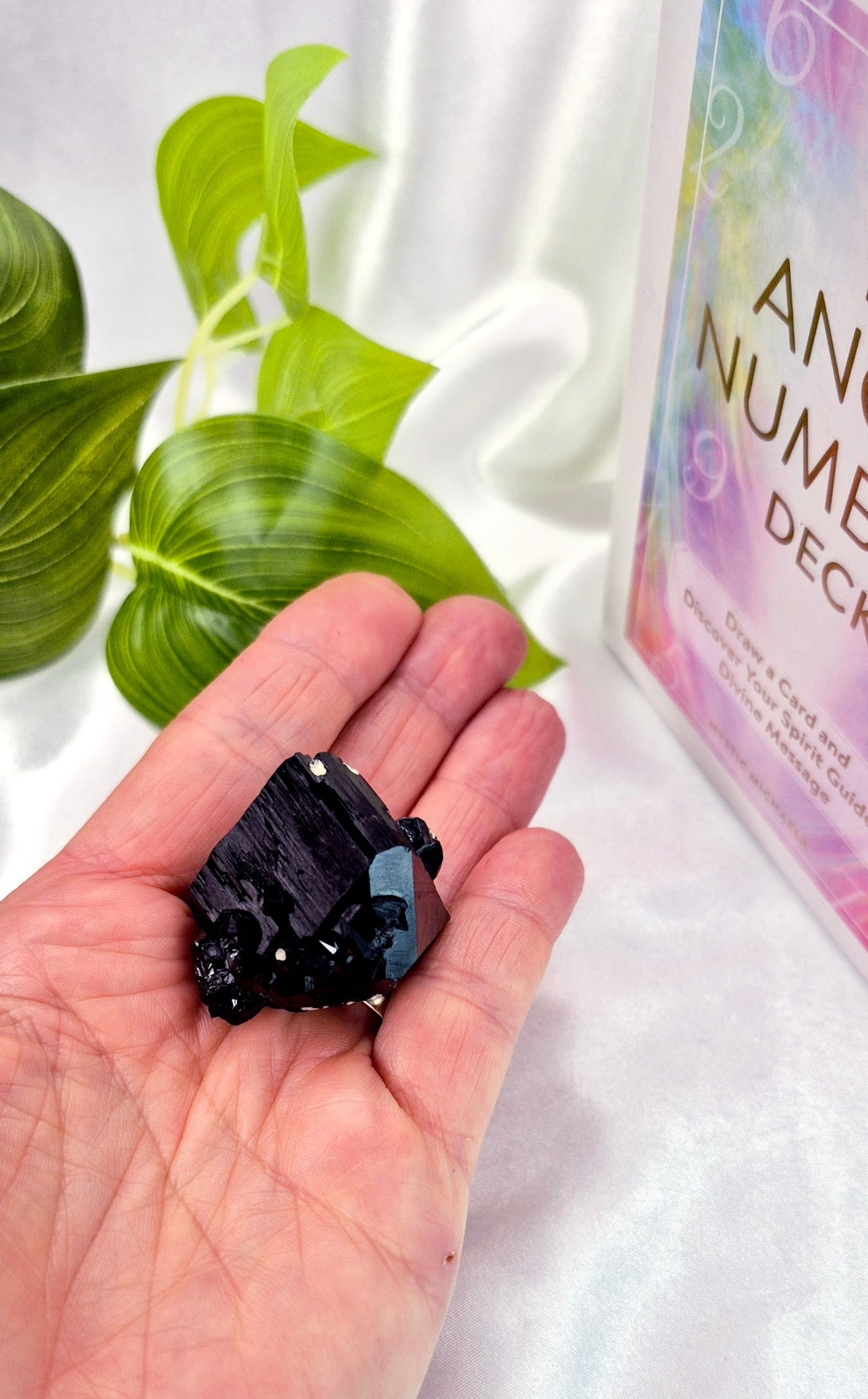 Natural Schorl Black Tourmaline with Hyalite Inclusions Specimen