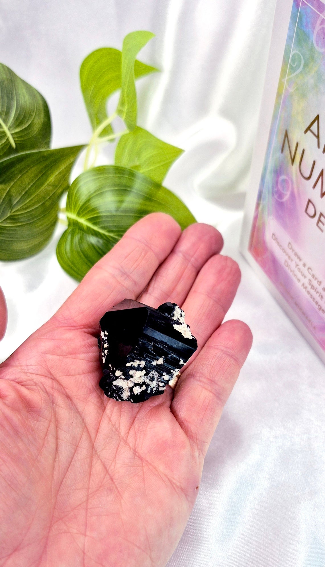 Natural Schorl Black Tourmaline with Hyalite Inclusions Specimen