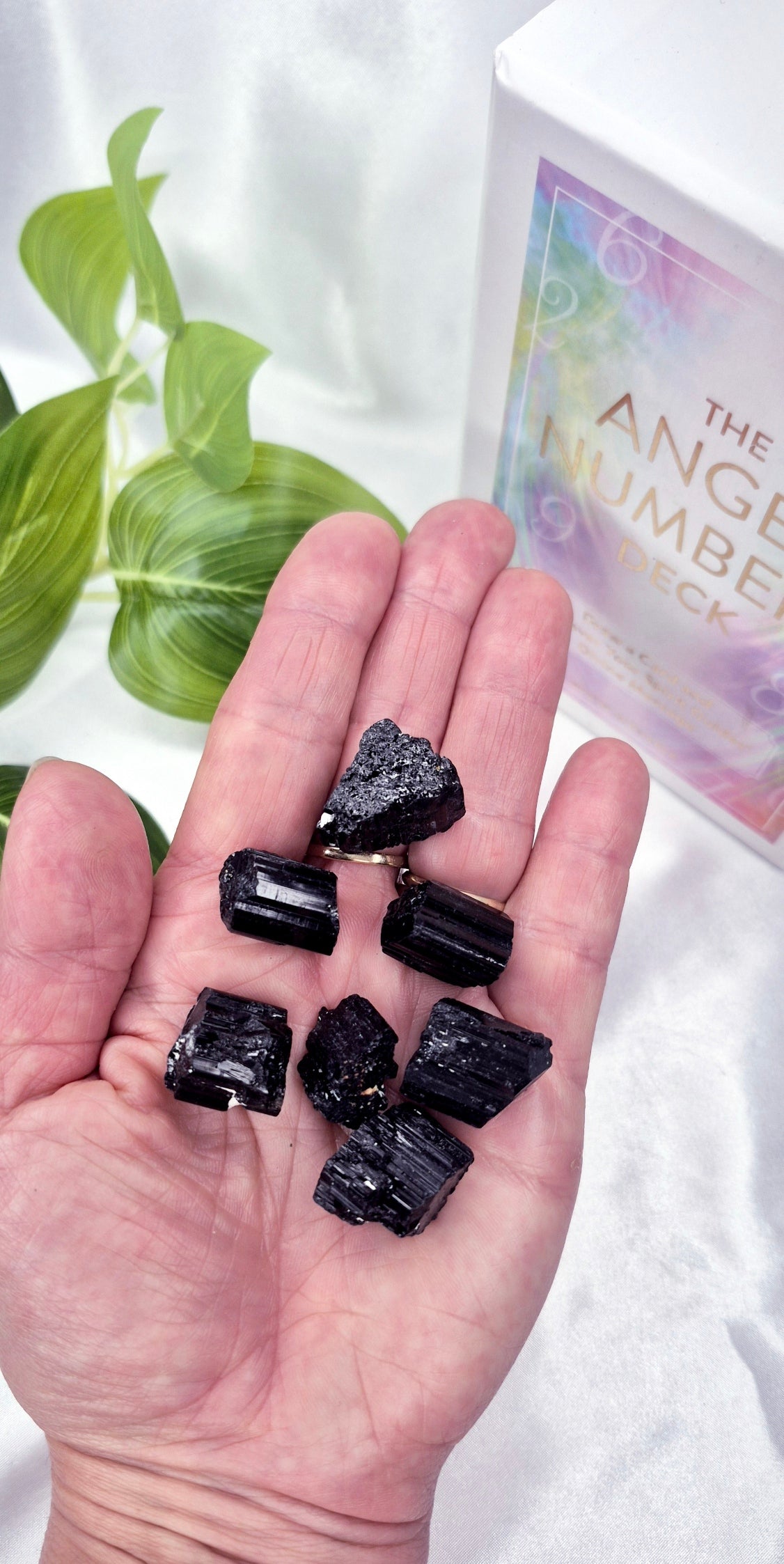 Black Tourmaline Raw Pieces (Mini)