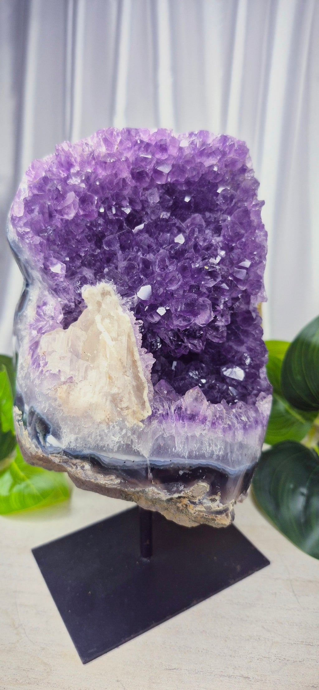 Statement Piece A-Grade Amethyst Cluster on Stand
