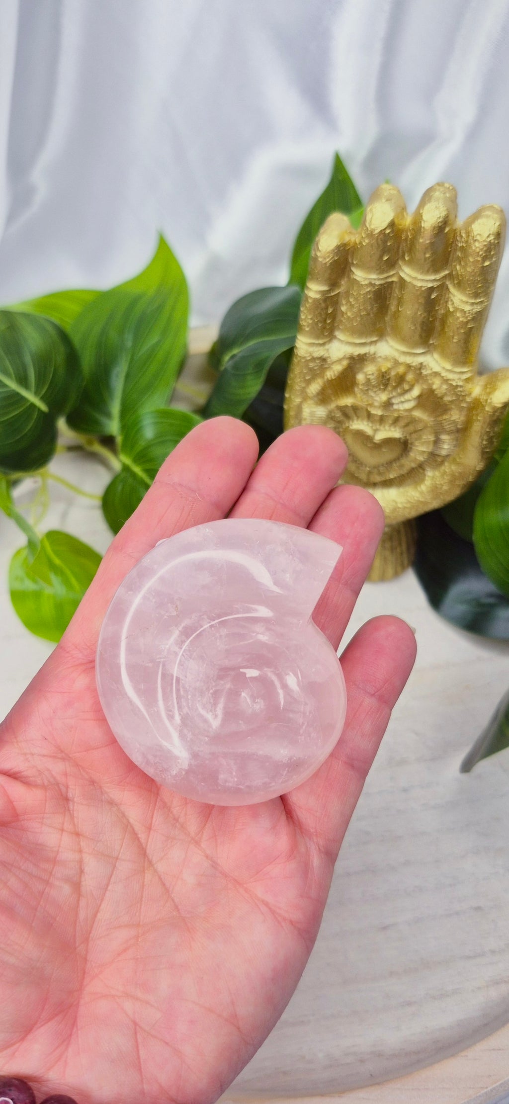 Small Ammonite Rose Quartz Carving