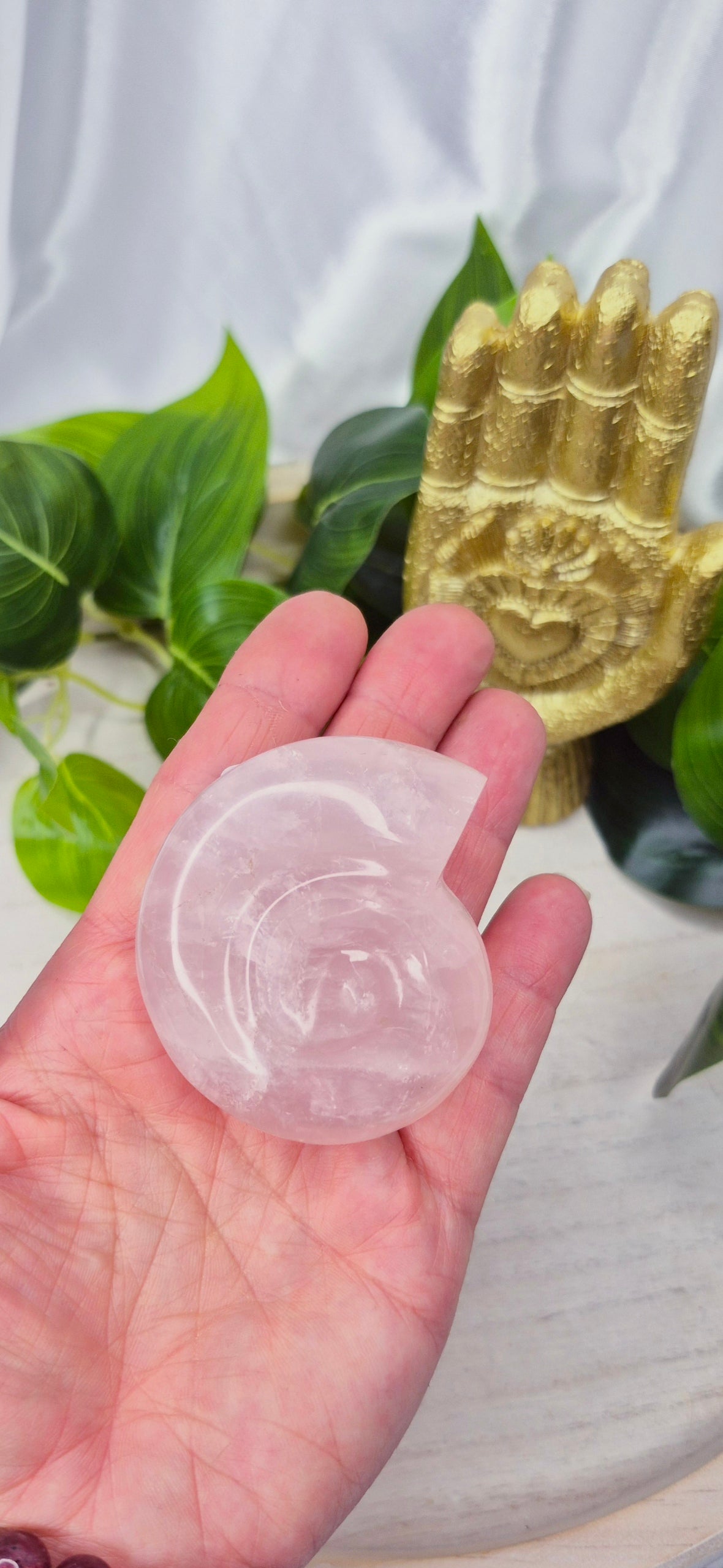Small Ammonite Rose Quartz Carving