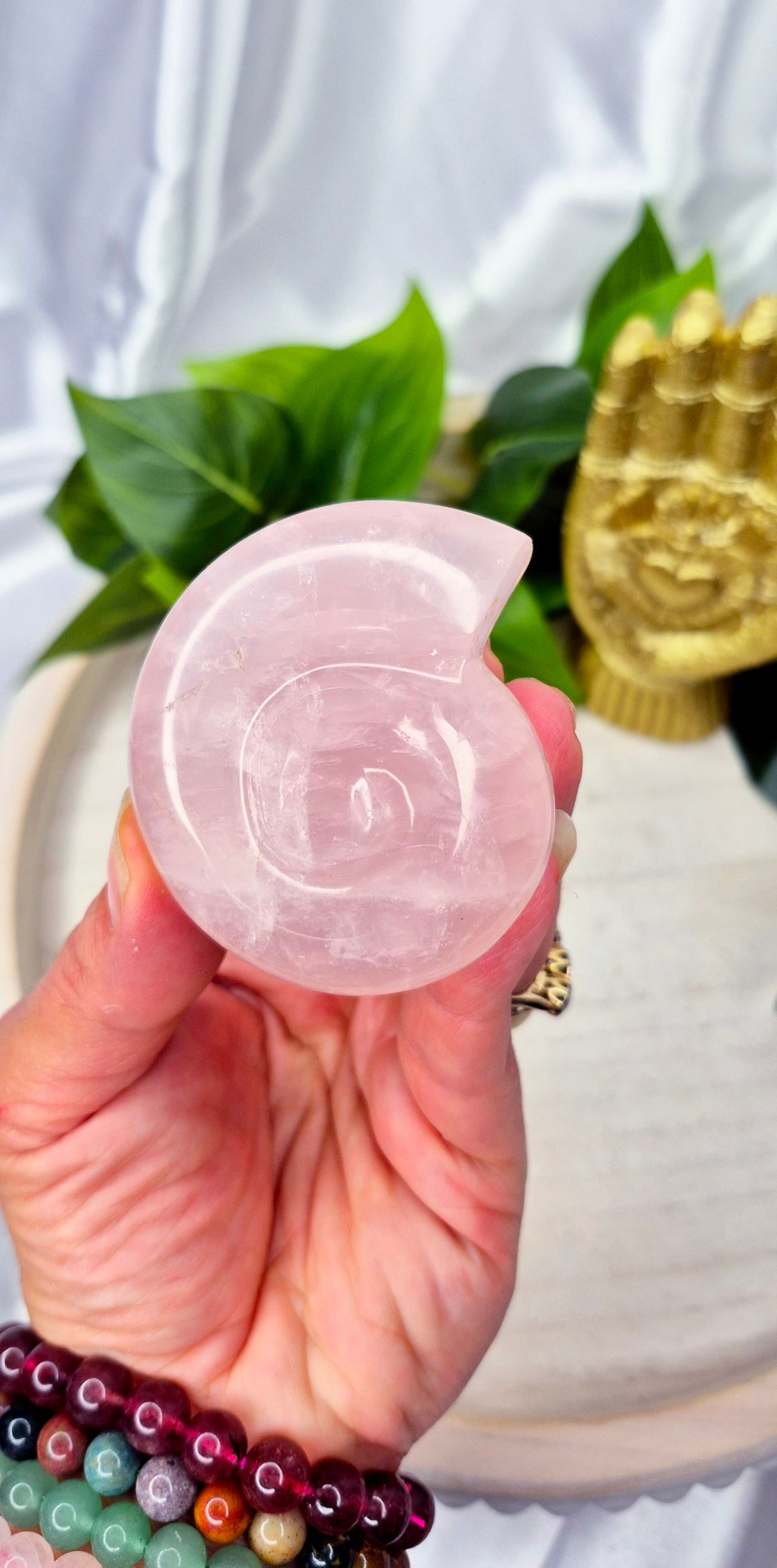 Small Ammonite Rose Quartz Carving