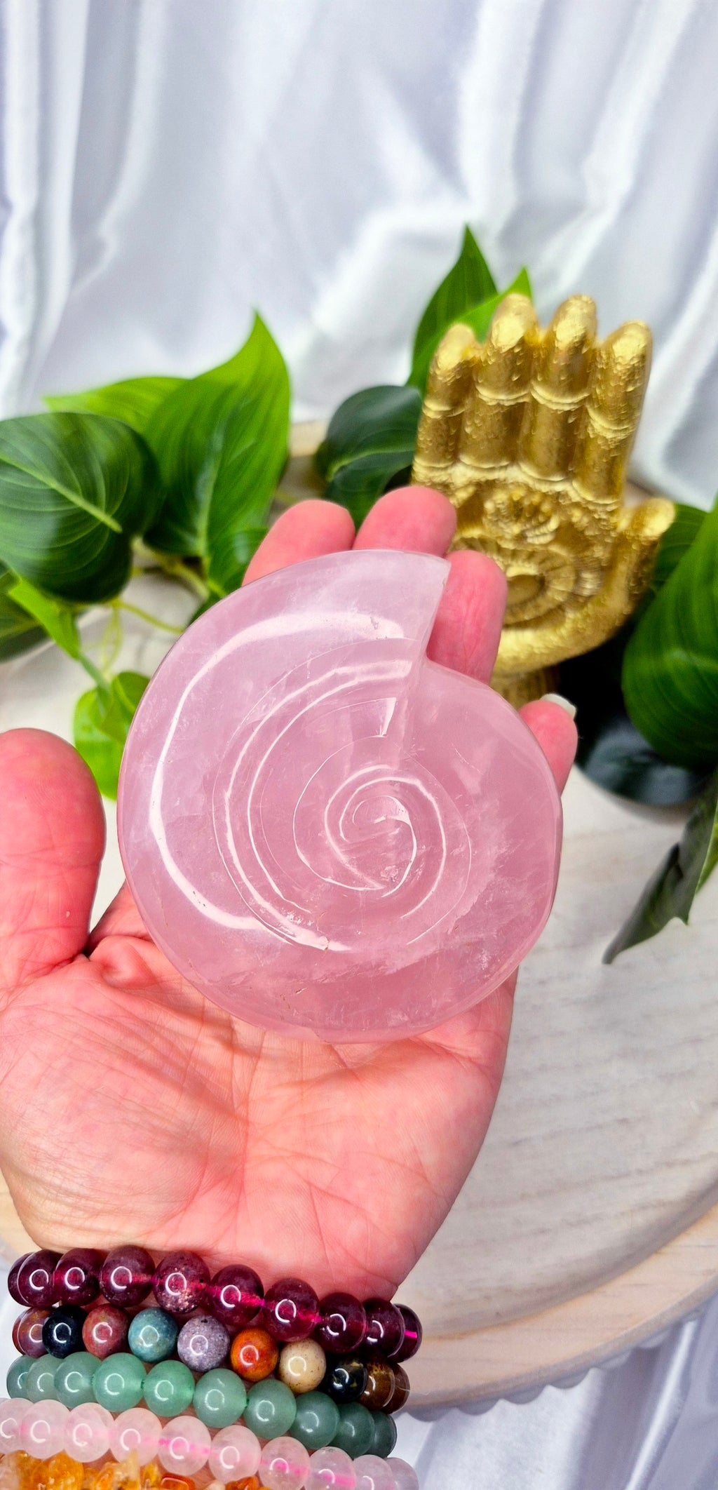 Medium Ammonite Rose quartz Carving