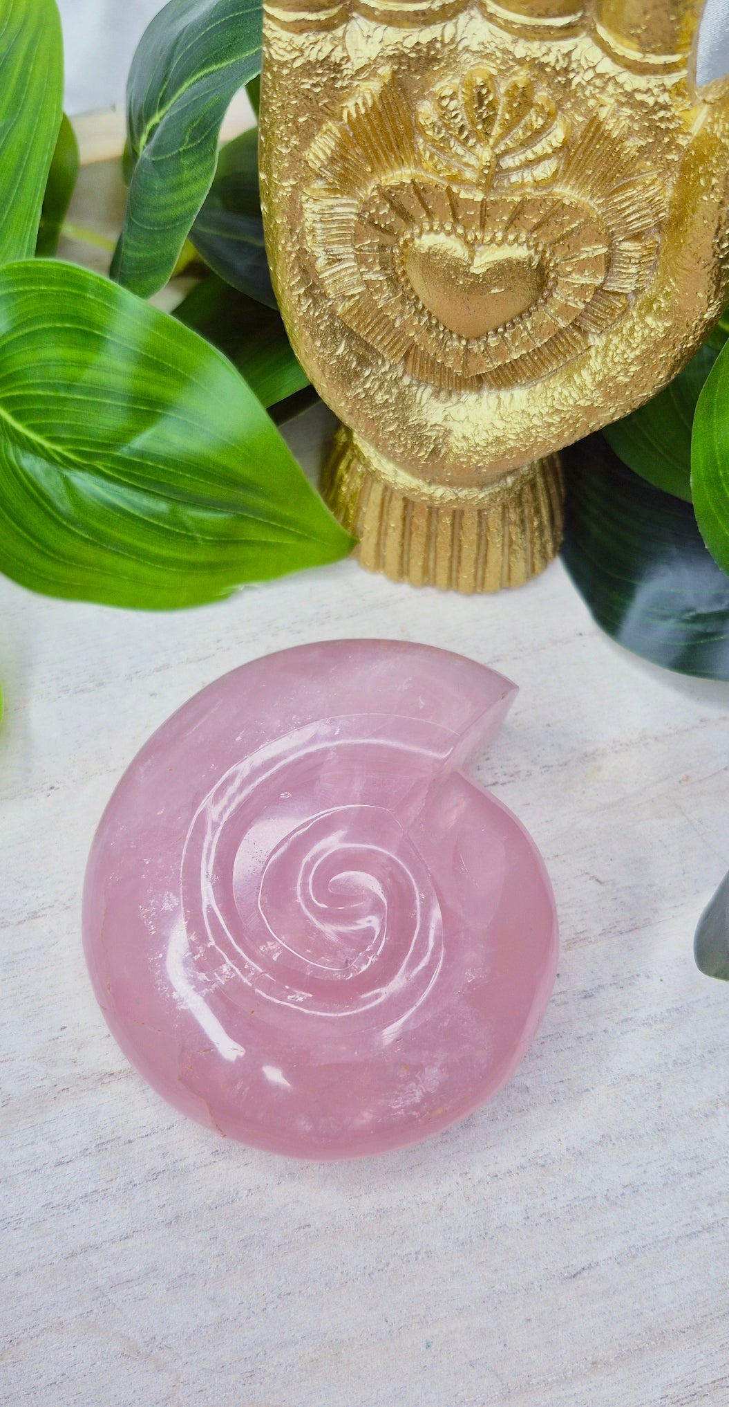 Medium Ammonite Rose quartz Carving