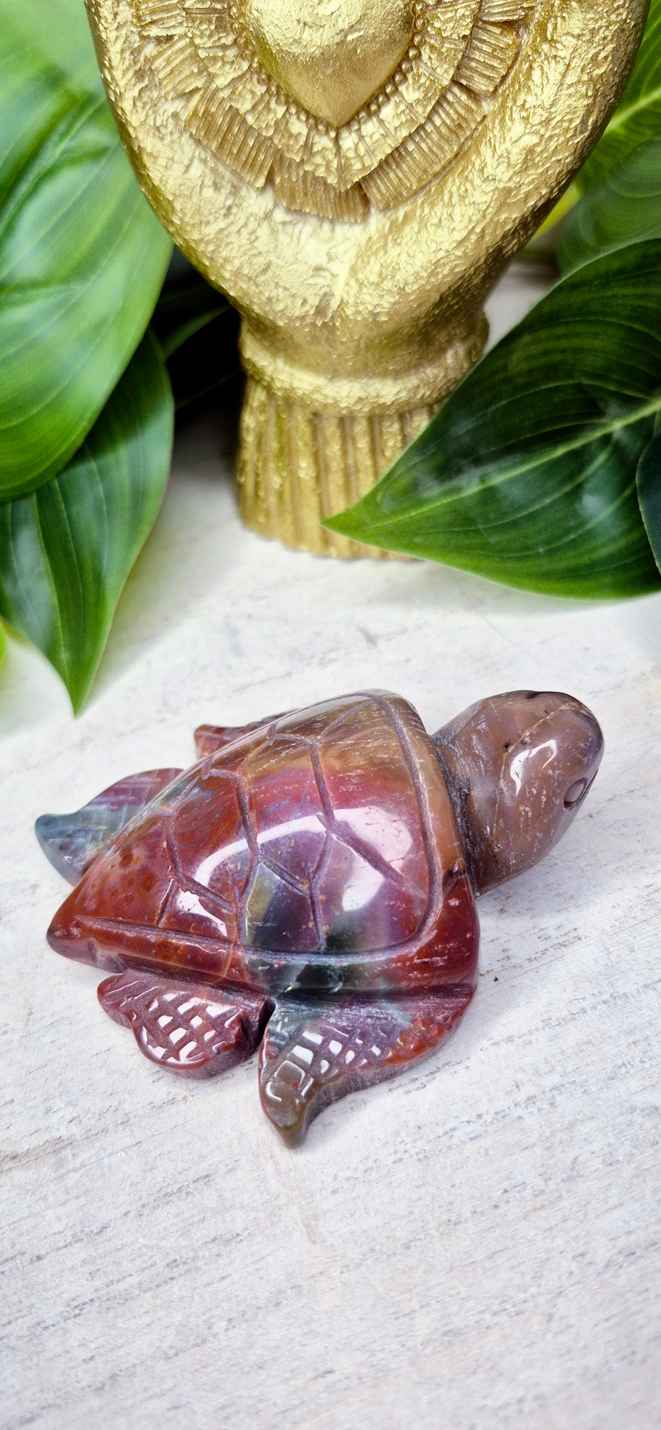 Ocean Jasper Turtle
