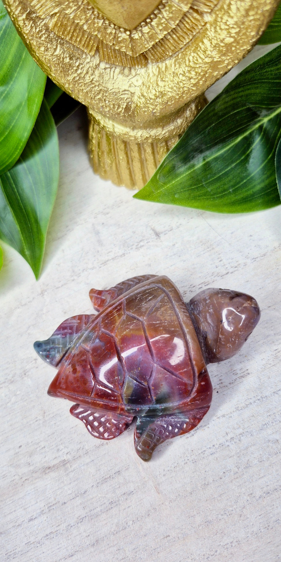 Ocean Jasper Turtle