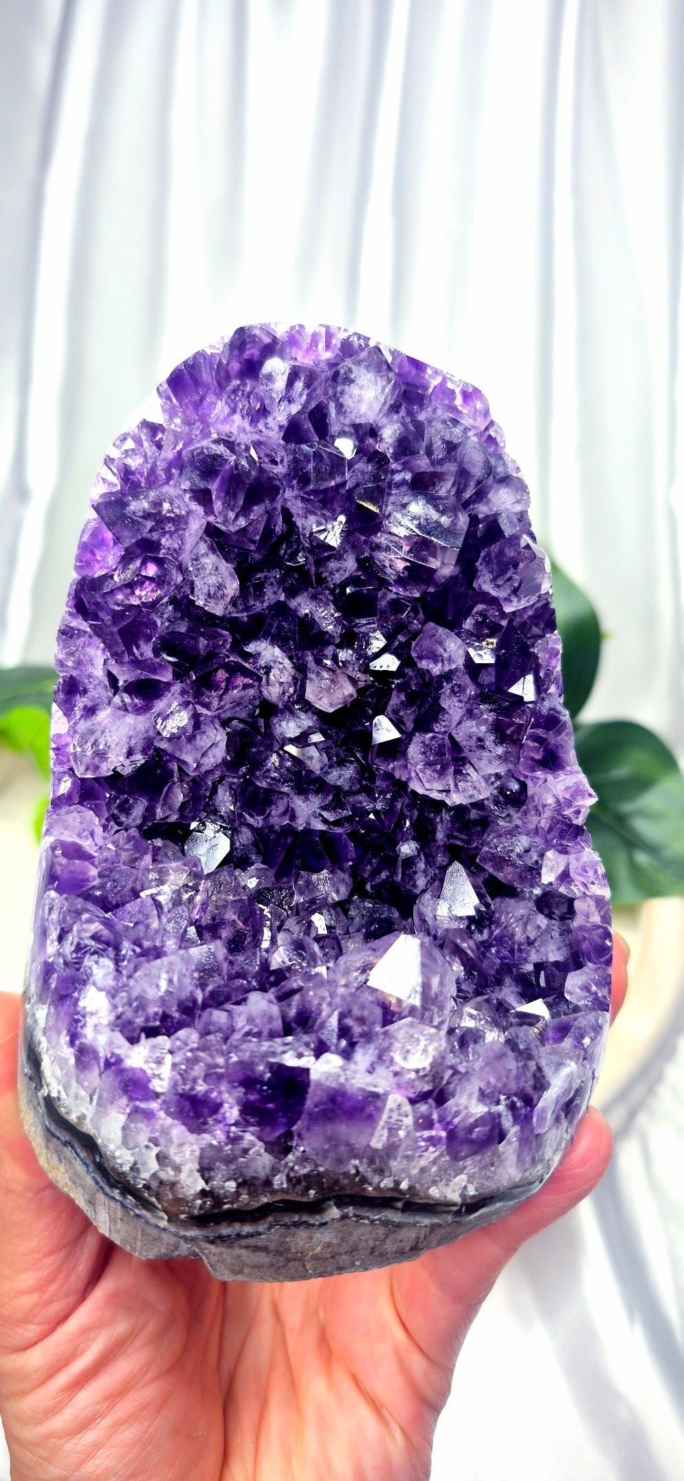 Amethyst Cut Base Free Form
