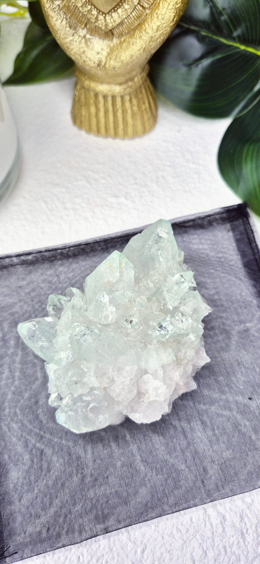 Apophyllite Cluster Specimen #A