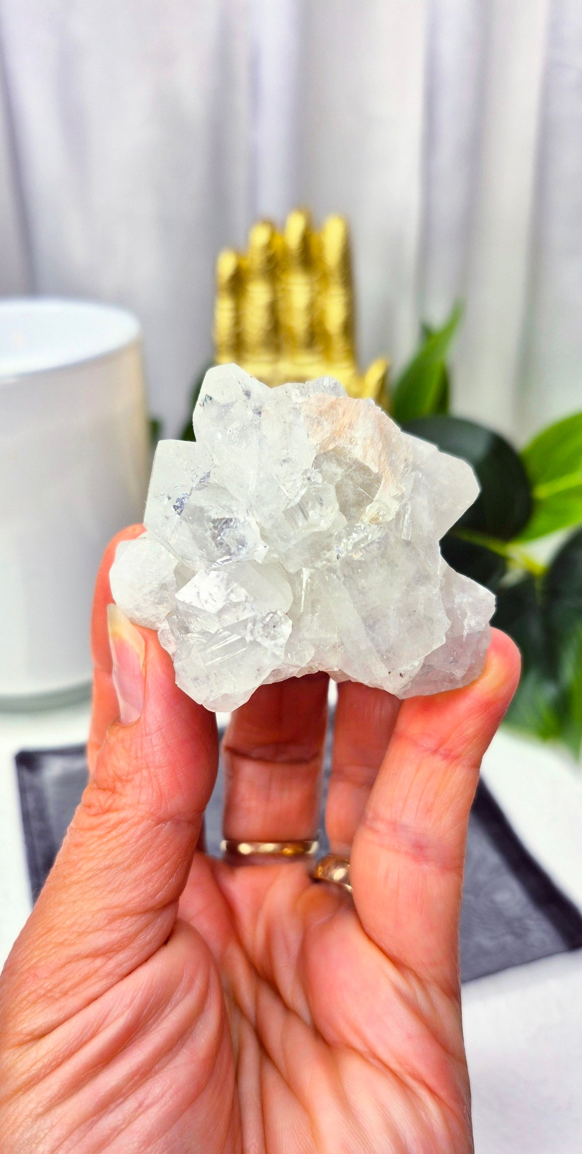 Apophyllite Cluster Specimen #E