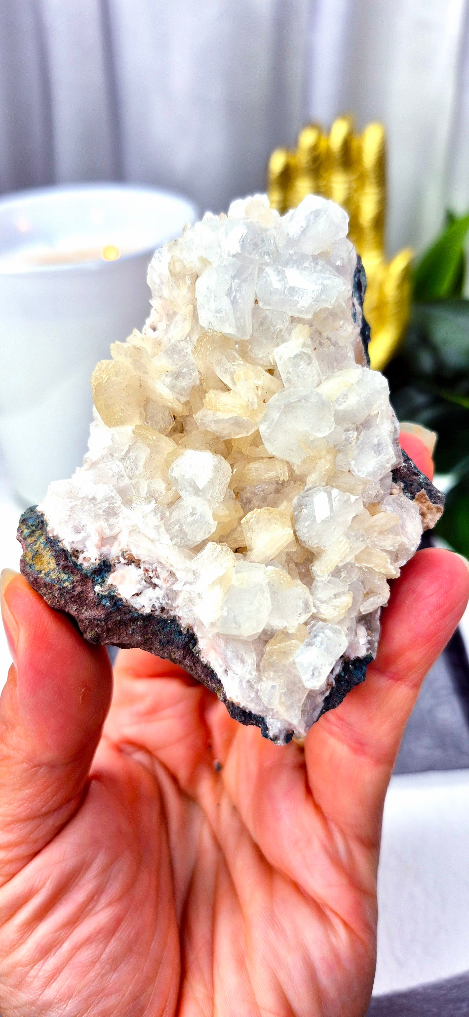 Apophyllite Cluster Specimen #D