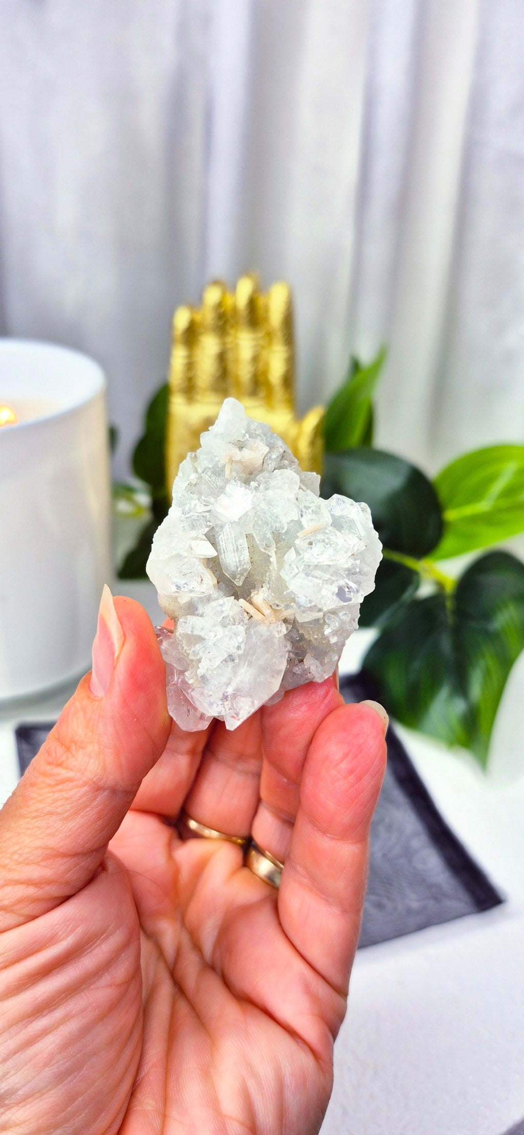 Apophyllite Cluster Specimen #C