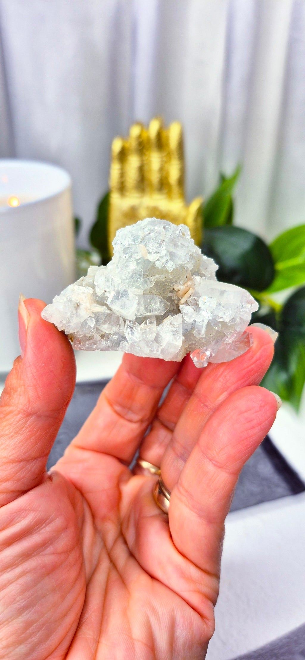 Apophyllite Cluster Specimen #C