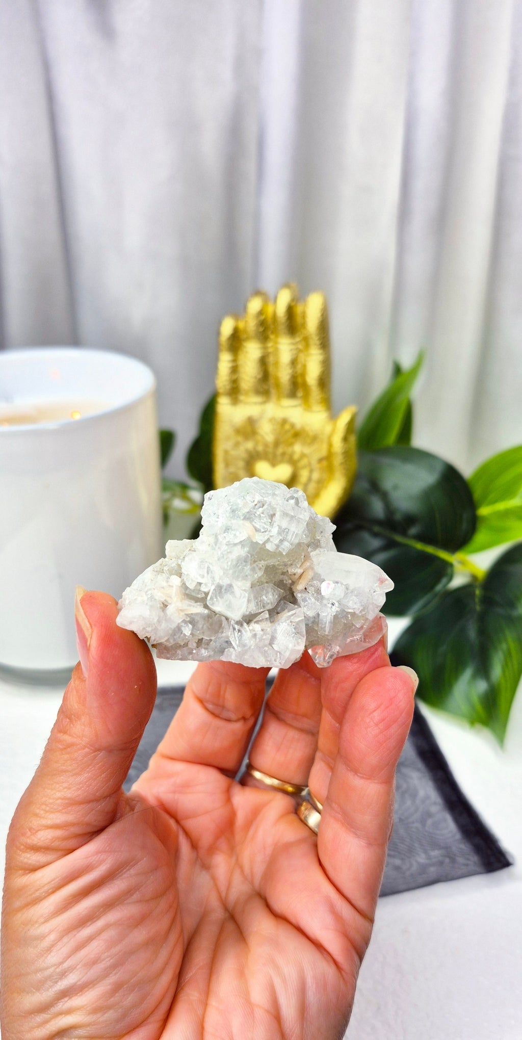 Apophyllite Cluster Specimen #C