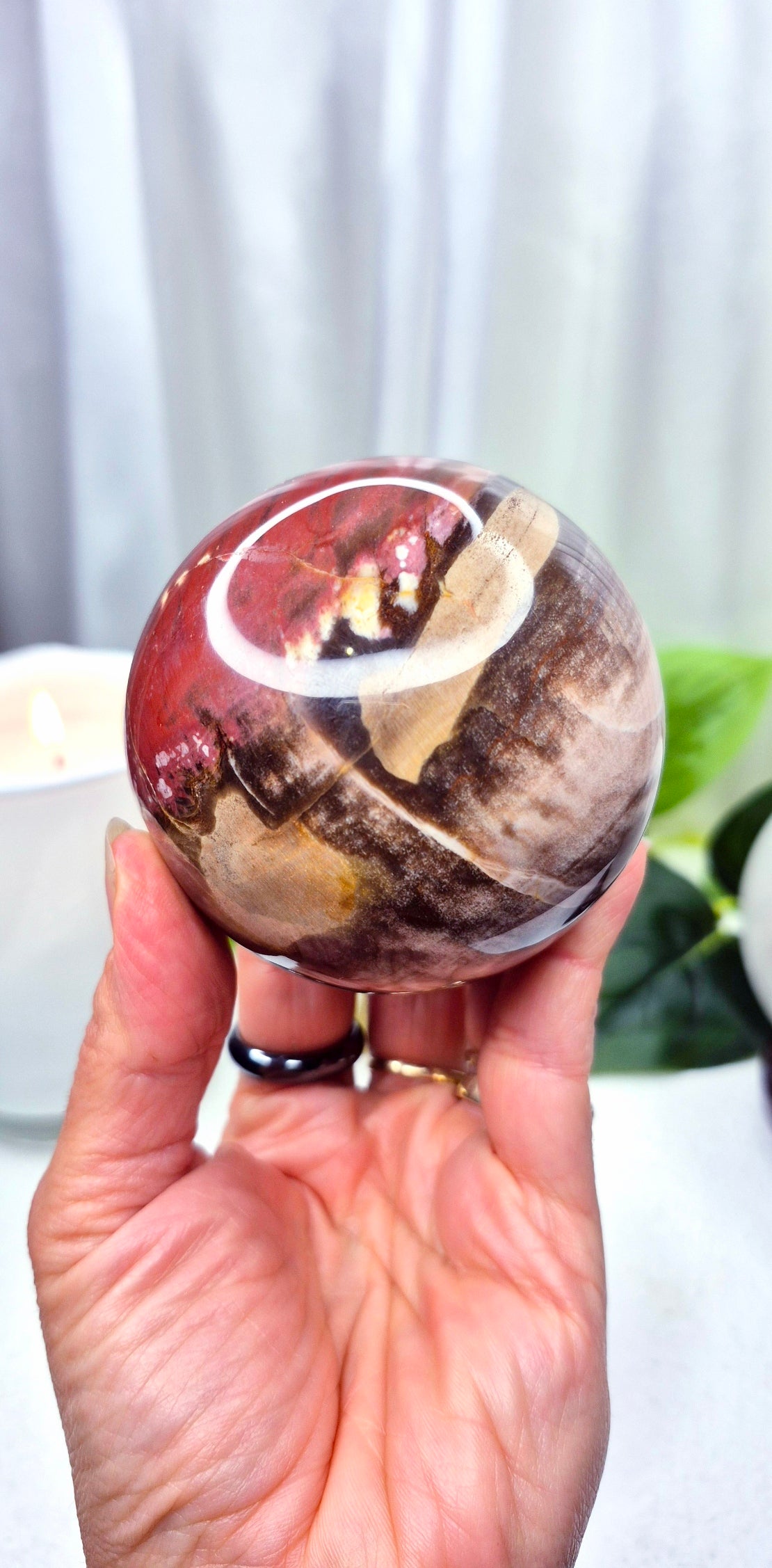 Polished Petrified Wood Sphere on Wooden Stand