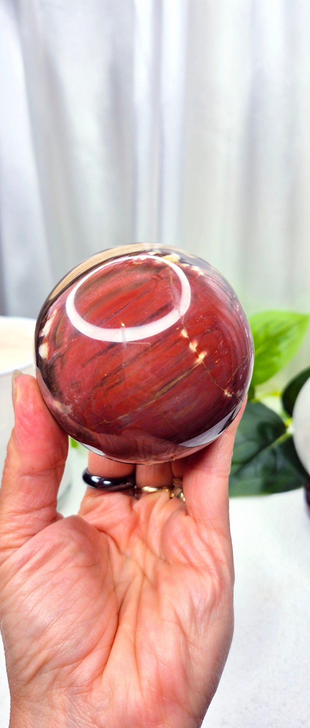 Polished Petrified Wood Sphere on Wooden Stand