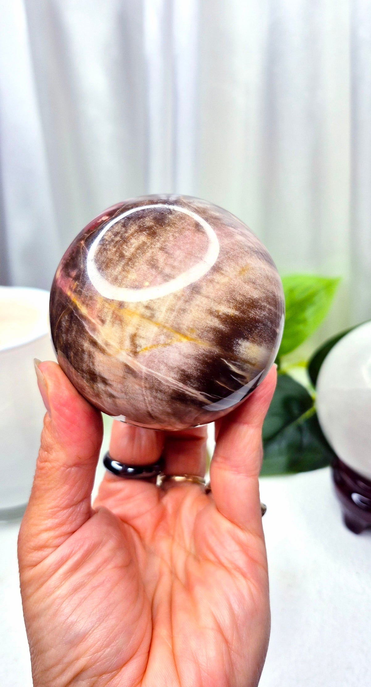 Polished Petrified Wood Sphere on Wooden Stand