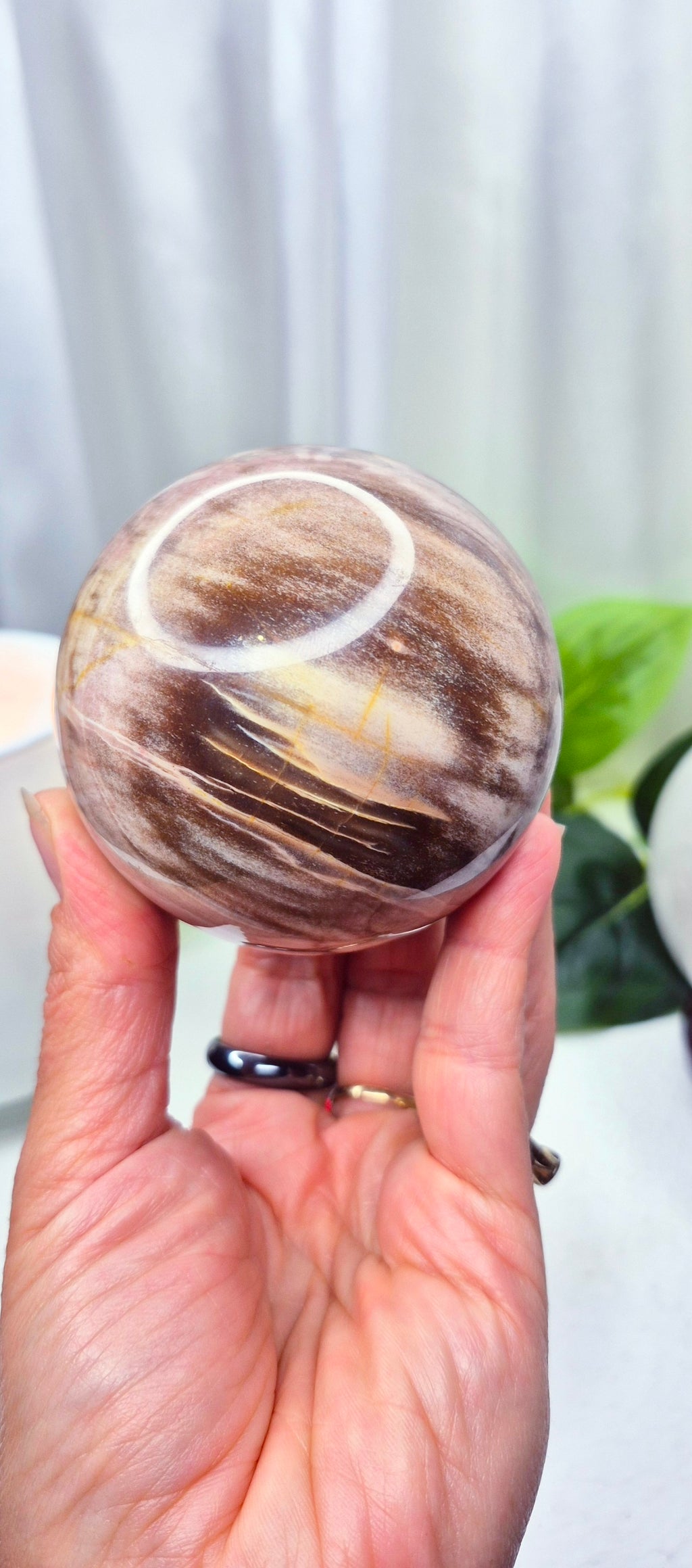 Polished Petrified Wood Sphere on Wooden Stand