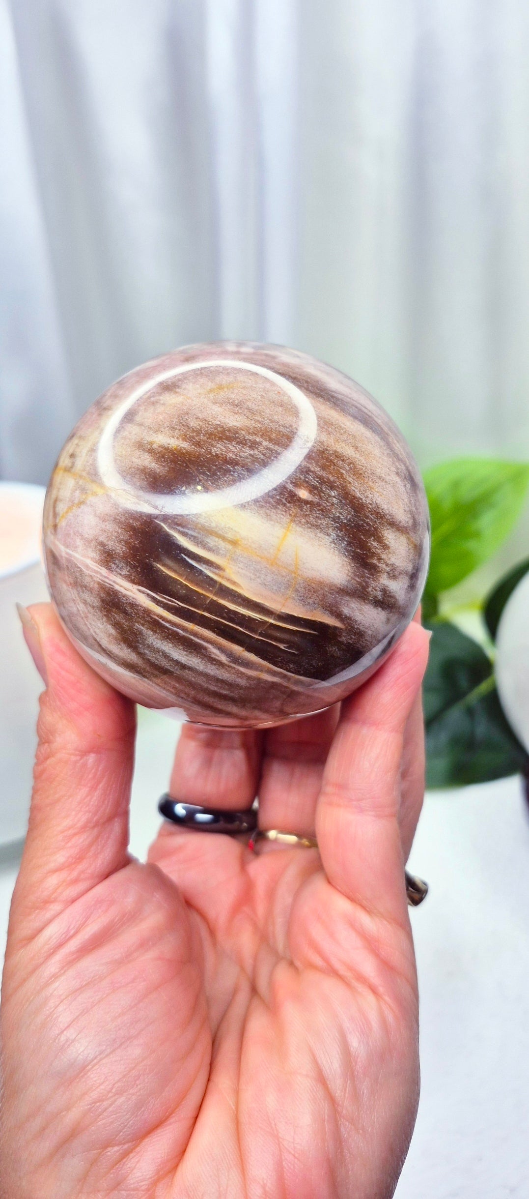 Polished Petrified Wood Sphere on Wooden Stand