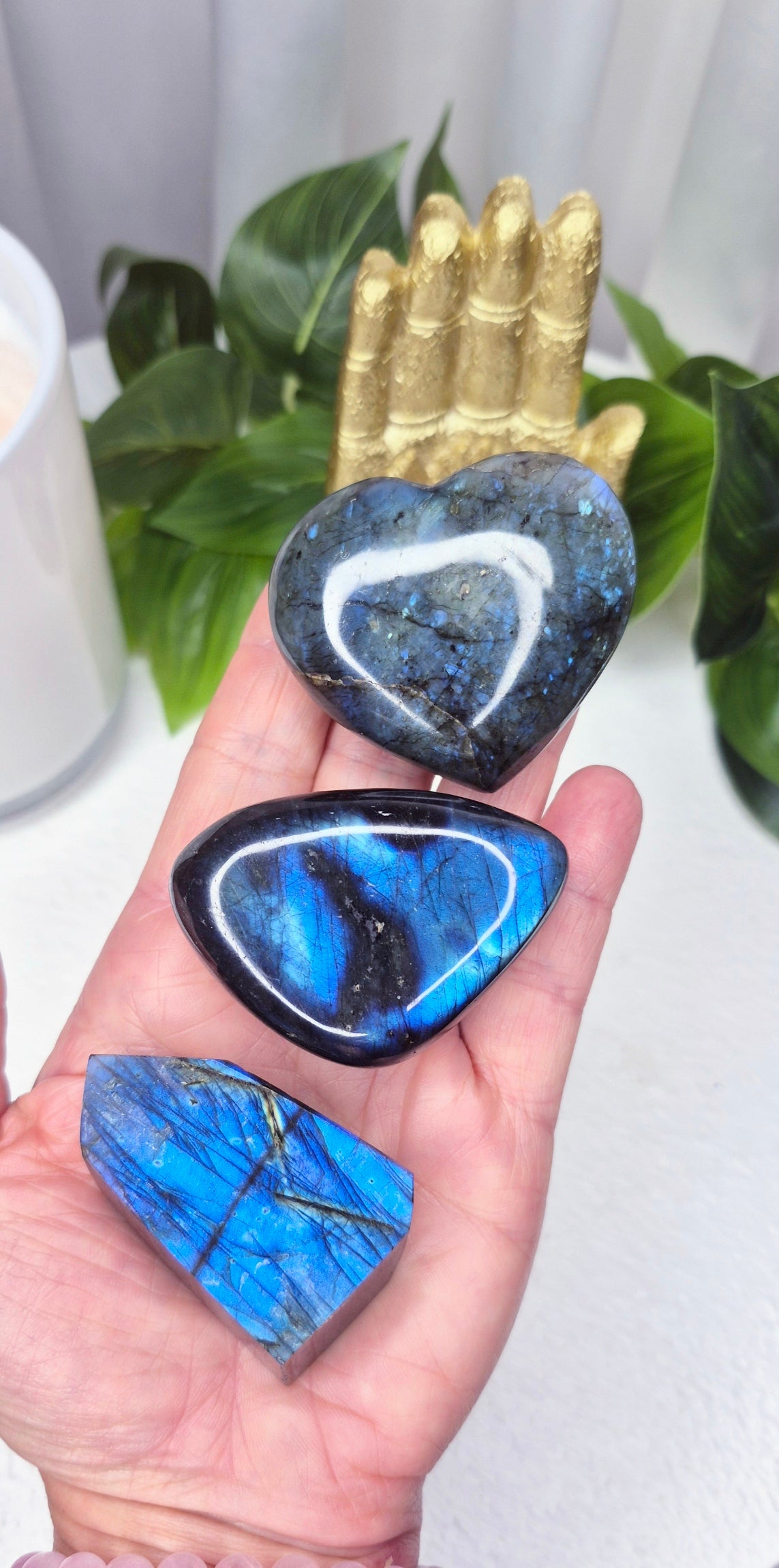 The Invoke Collection