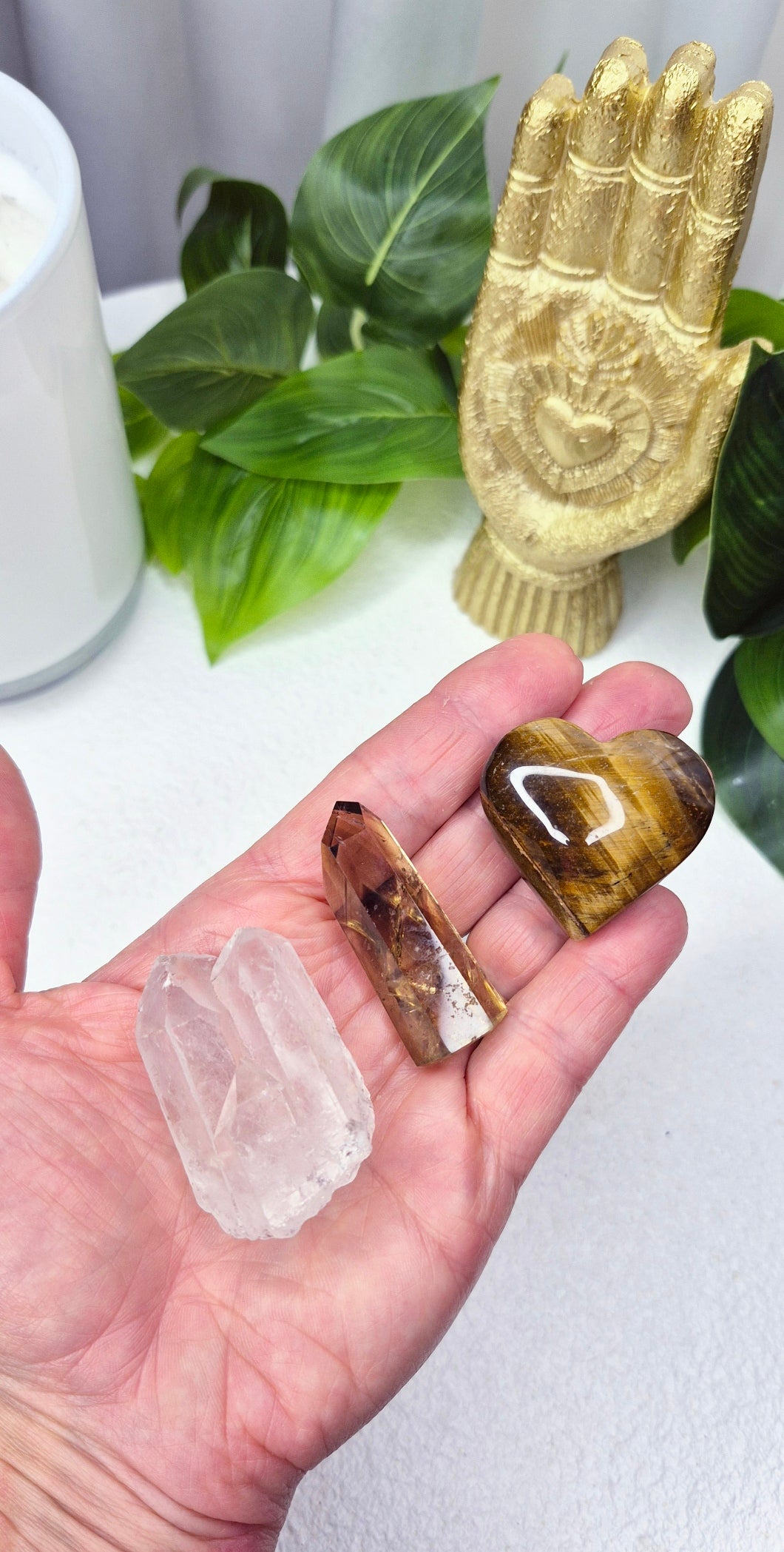 The Luck & Prosperity Collection