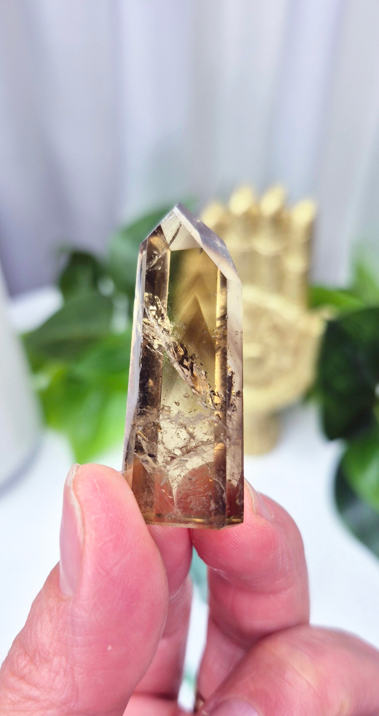 The Luck & Prosperity Collection