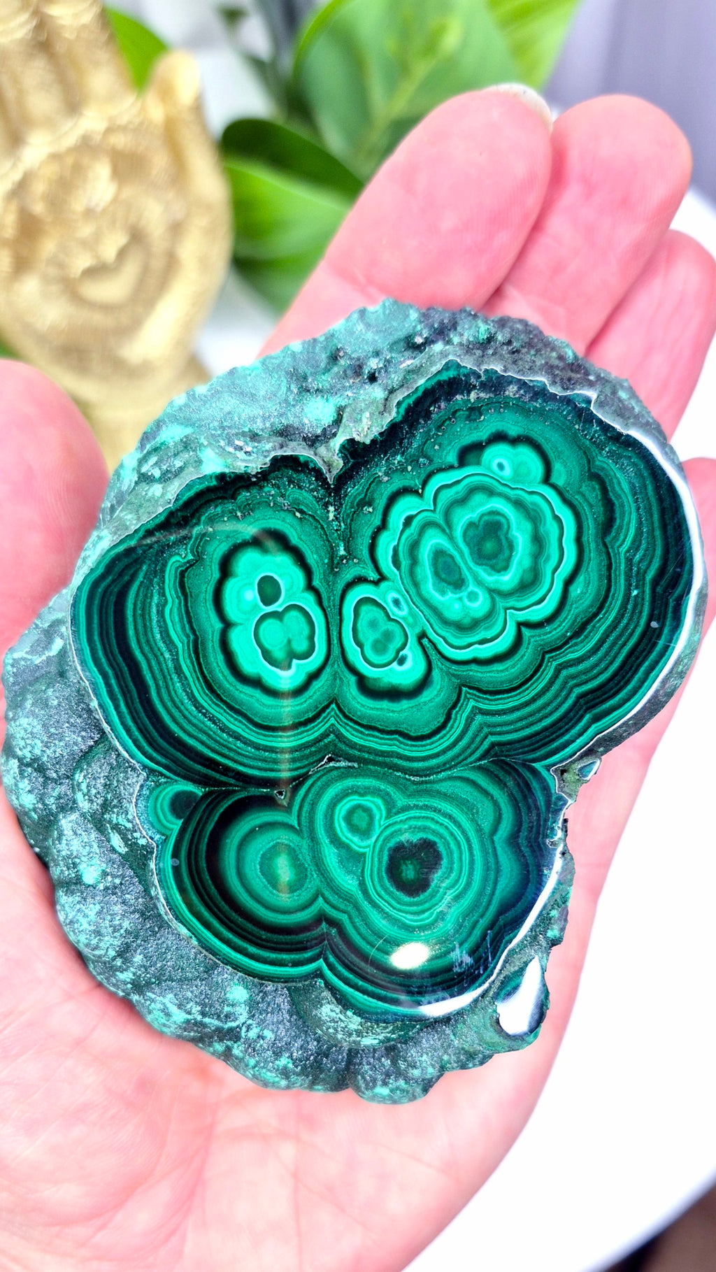 Premium Malachite Statement Specimen