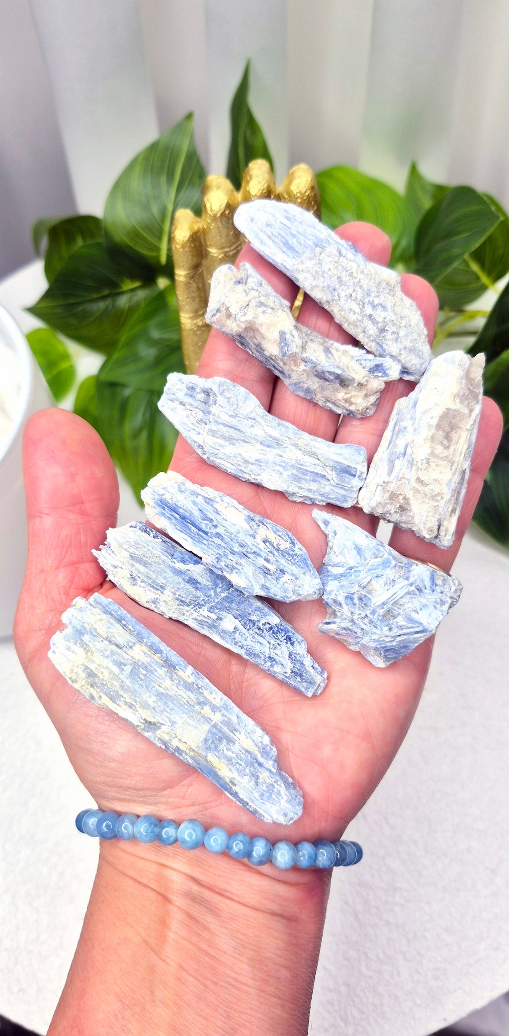 Natural Blue Kyanite Specimen Blades (Large)
