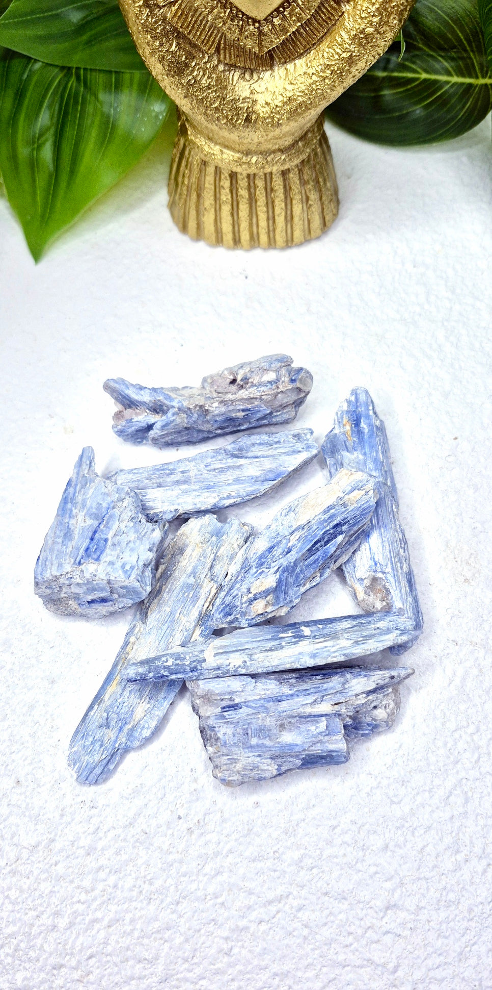 Natural Blue Kyanite Specimen Blades (Large)