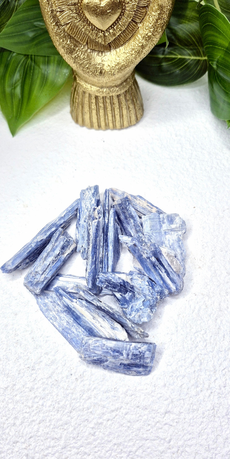 Natural Blue Kyanite Specimen Blades (Small)