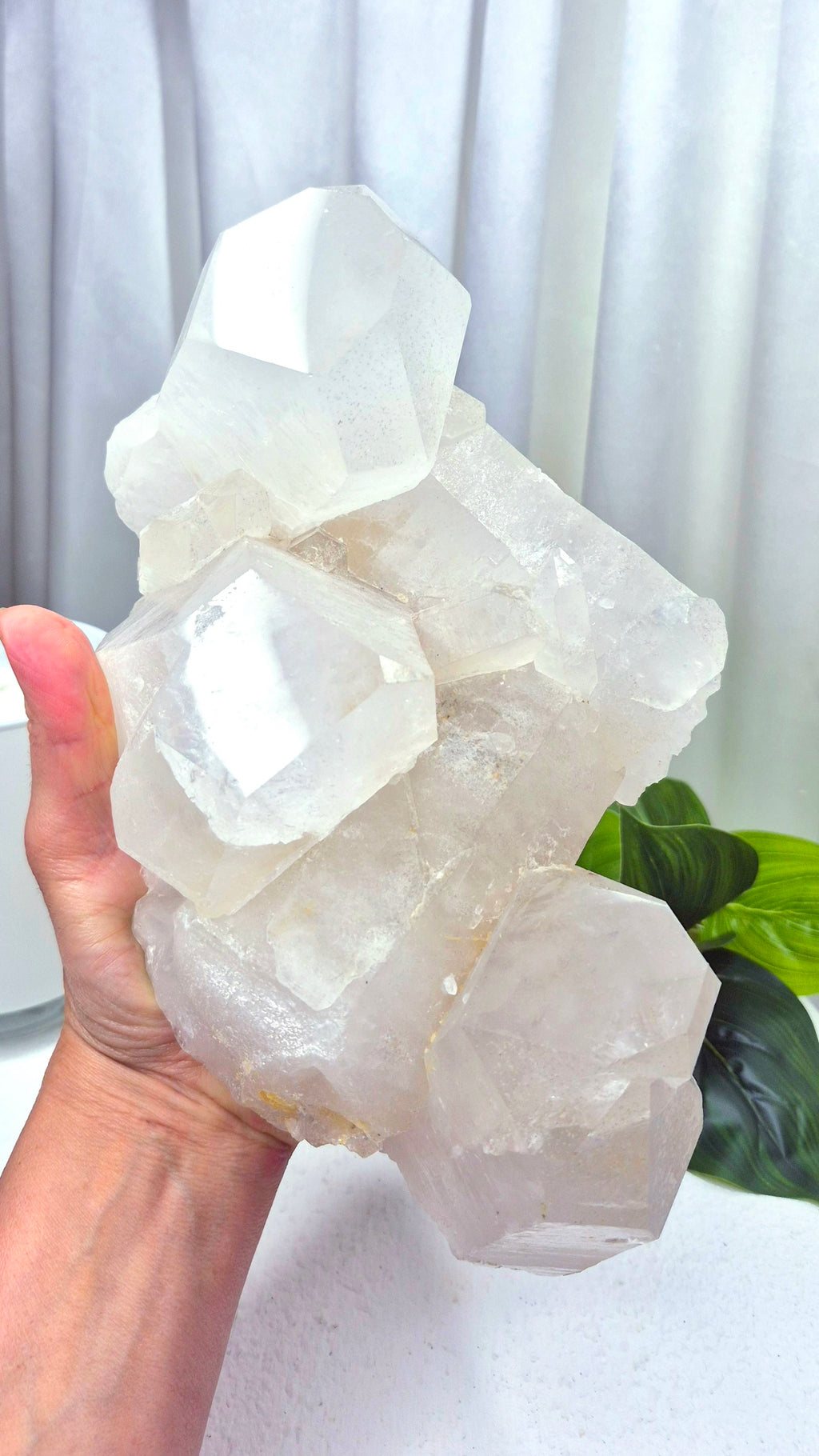 Statement Piece Clear Quartz Terminated Cluster