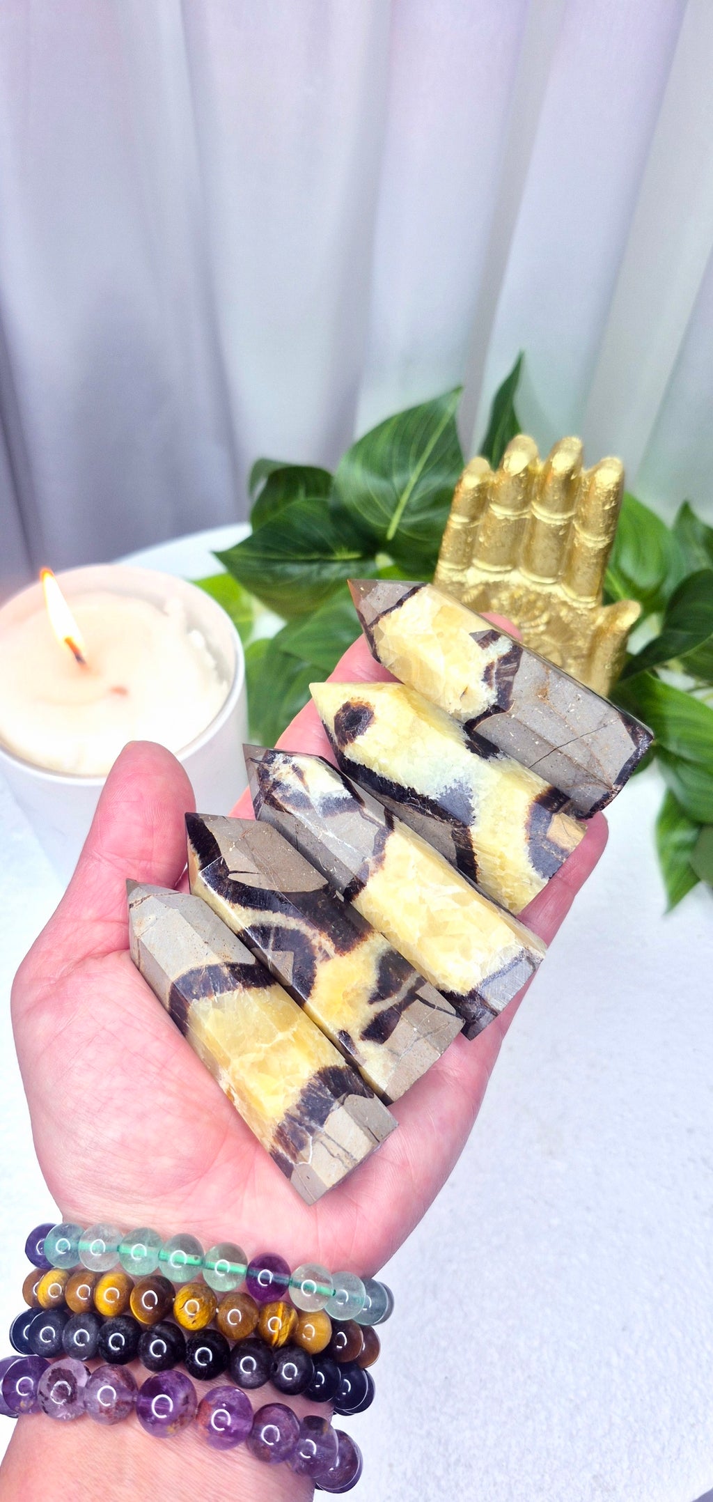 High Grade Septarian Points