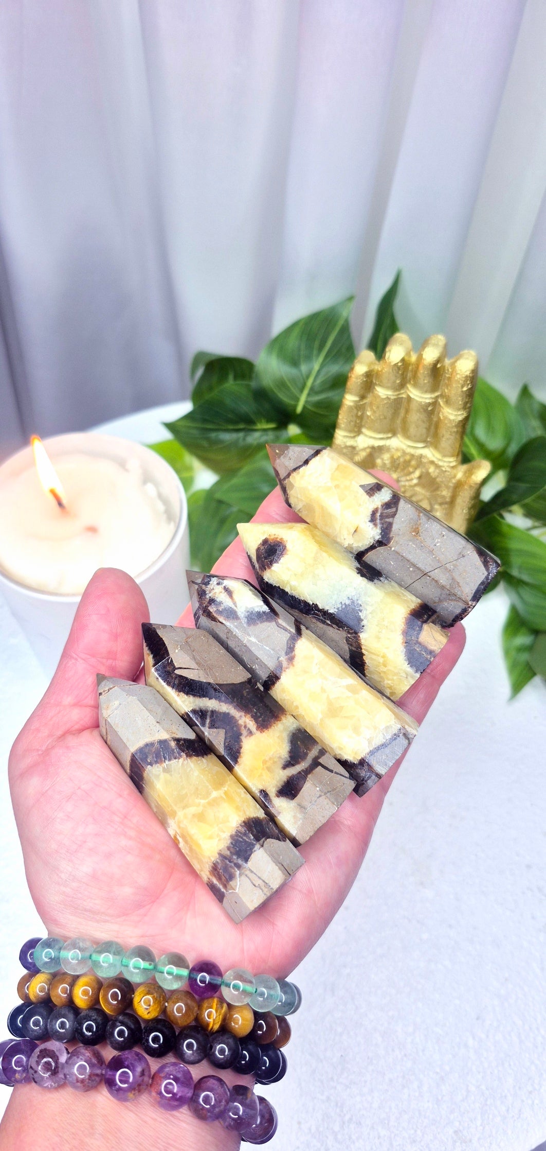 High Grade Septarian Points