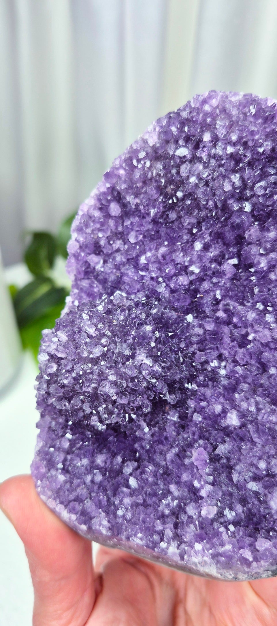 New Release A Grade Amethyst Geode Cut Base