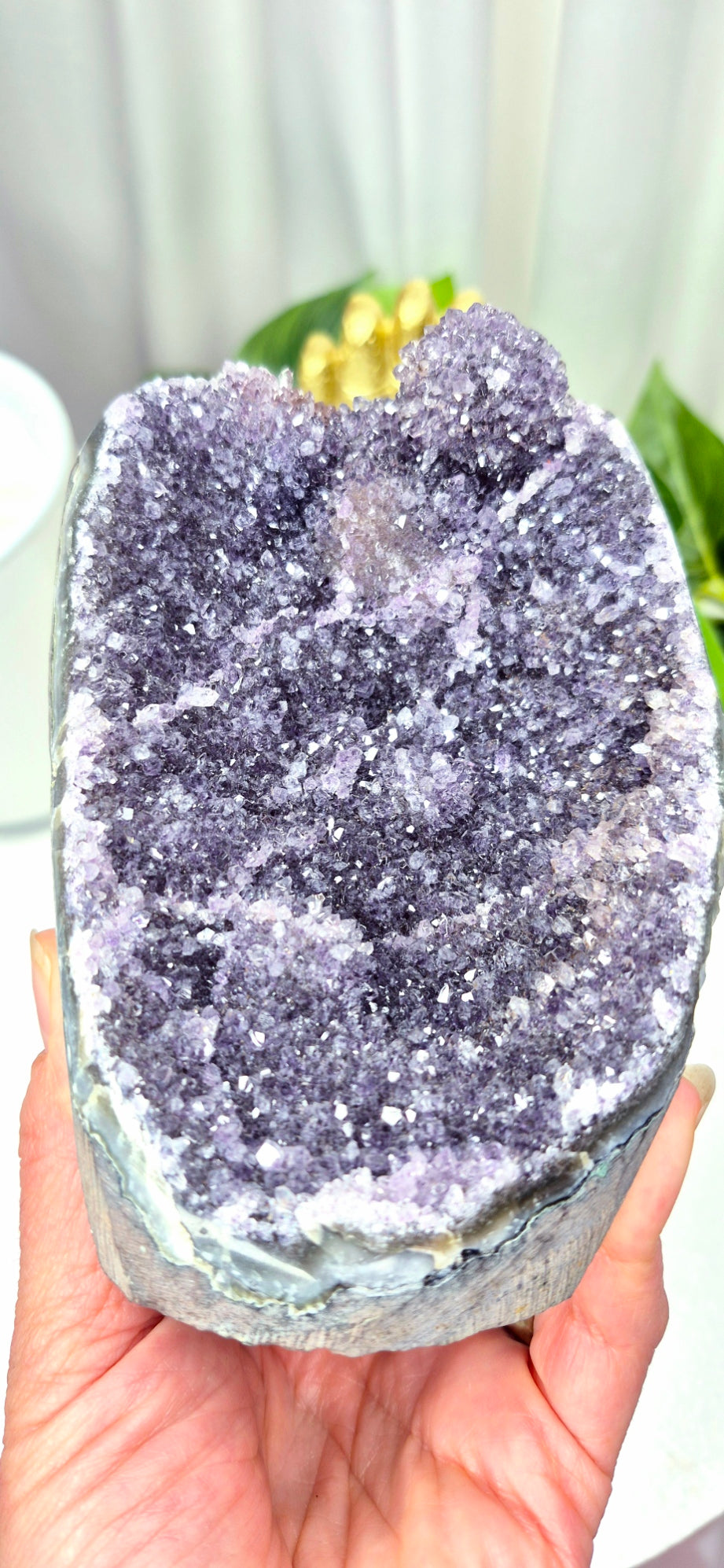 New Release A Grade Sugar Druzy Amethyst Geode