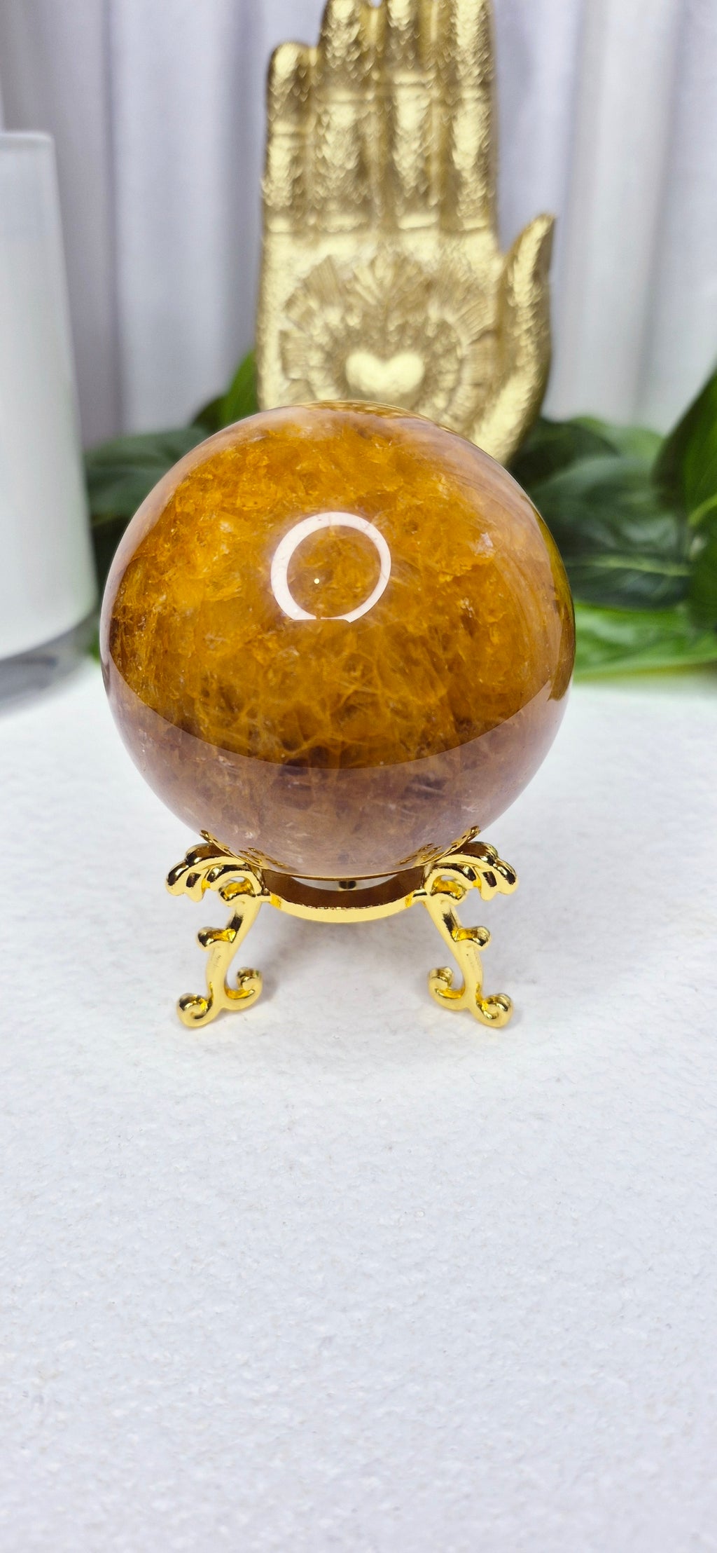 A-Grade Golden Healer on Stand #B