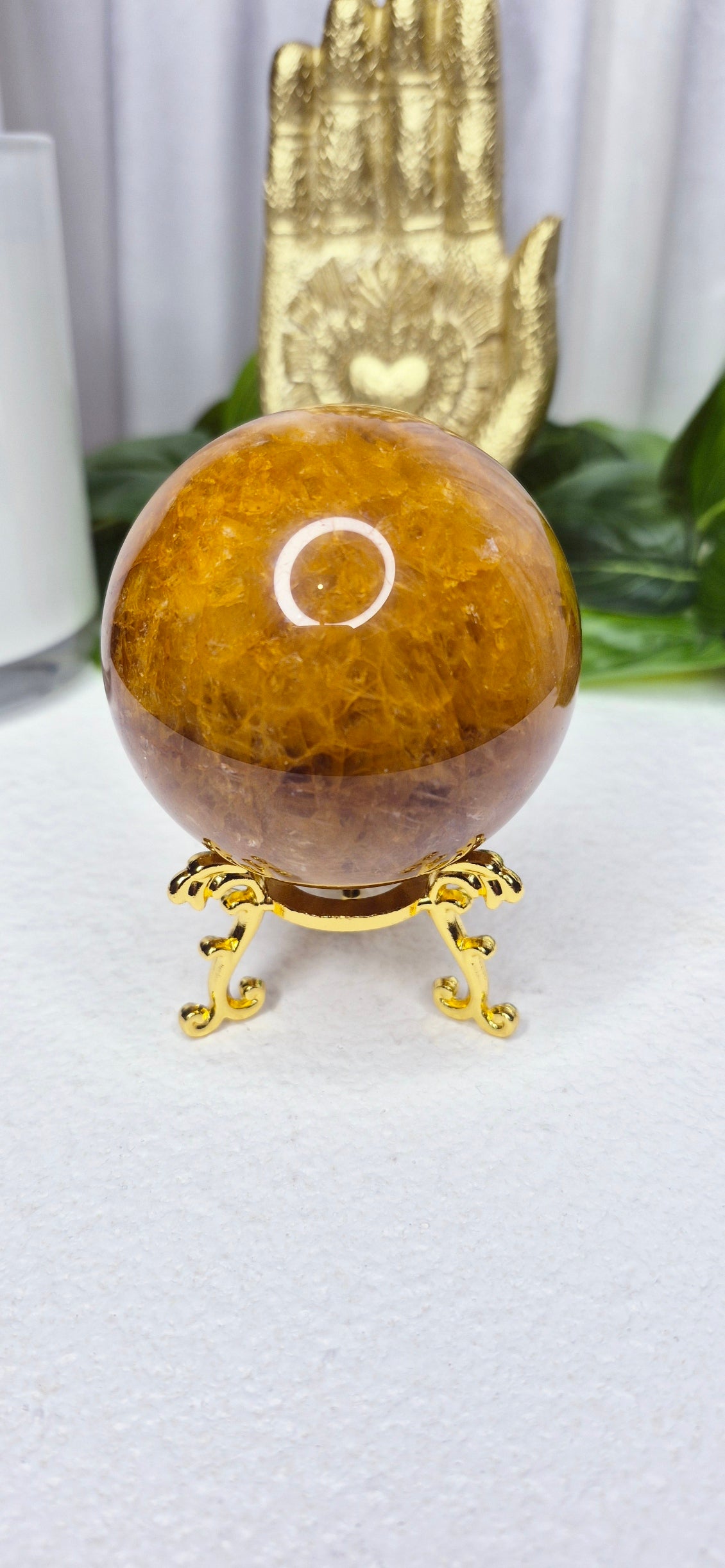 A-Grade Golden Healer on Stand #B