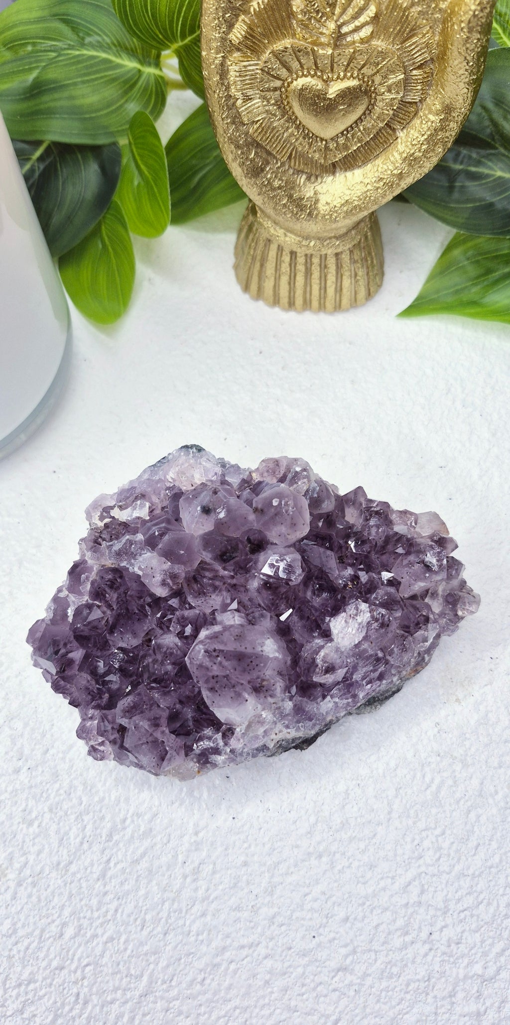 Raw Brazilian Amethyst Cluster #A