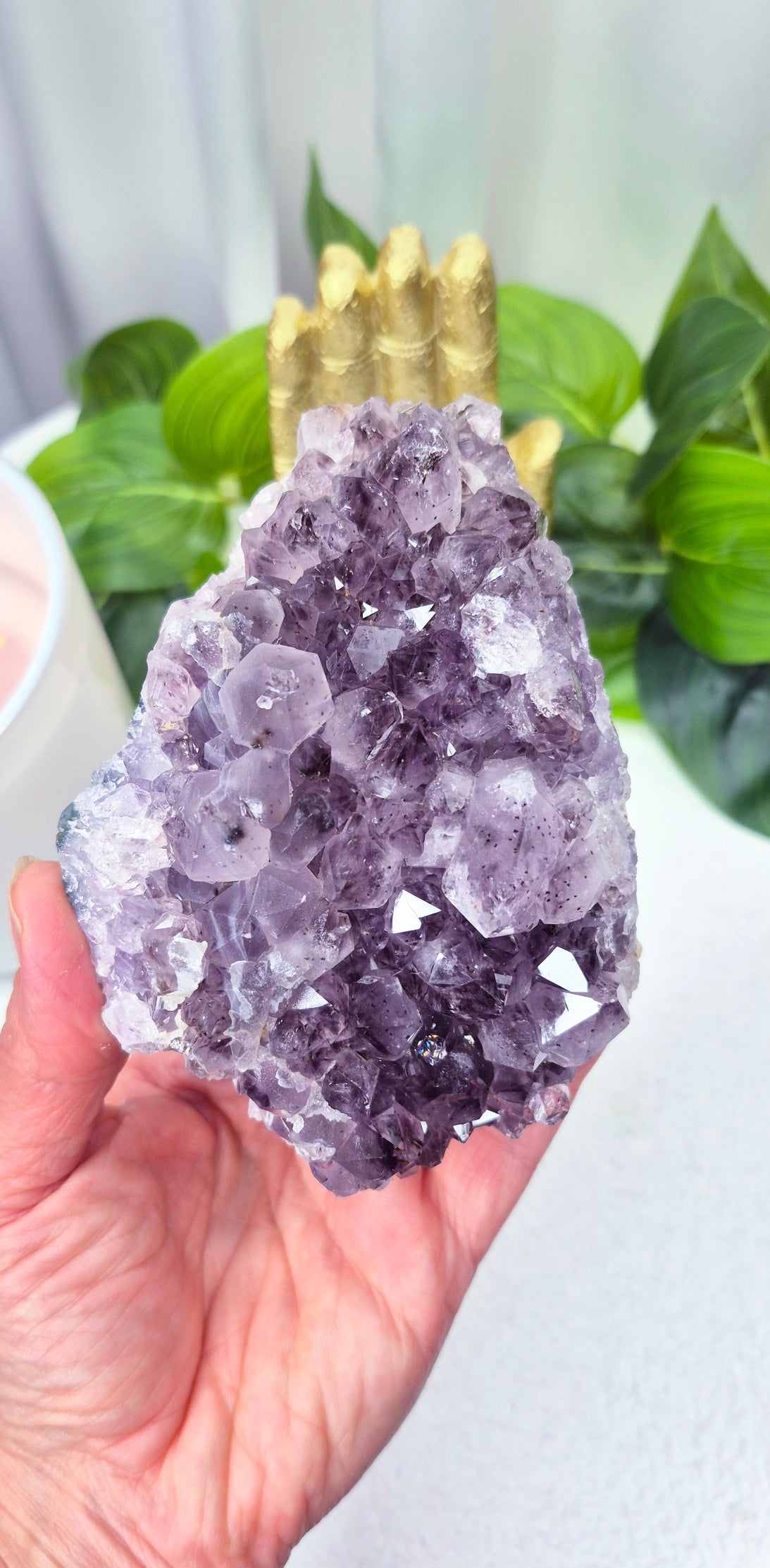 Raw Brazilian Amethyst Cluster #A