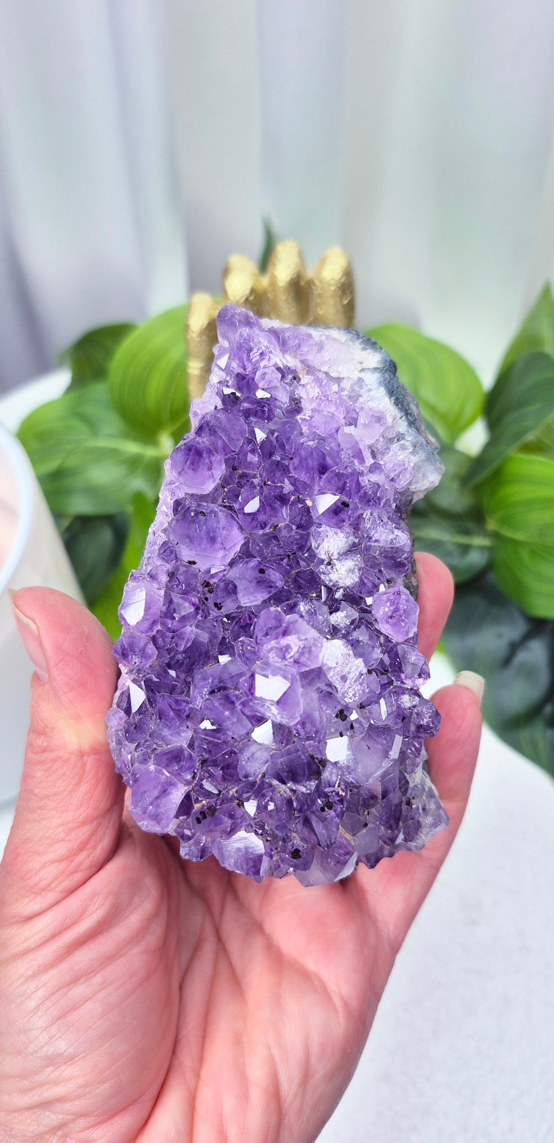 Raw Brazilian Amethyst Cluster #C