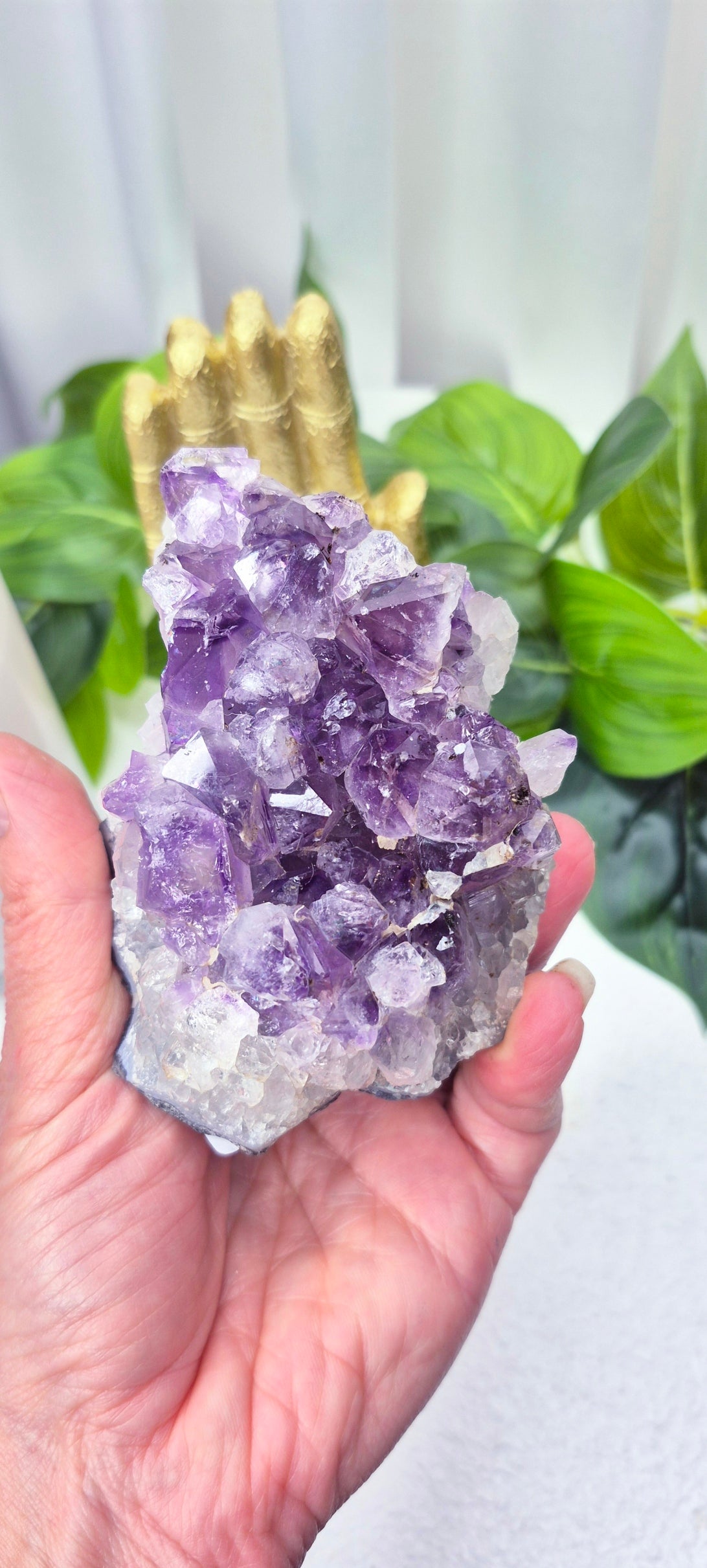 Raw Brazilian Amethyst Cluster #E