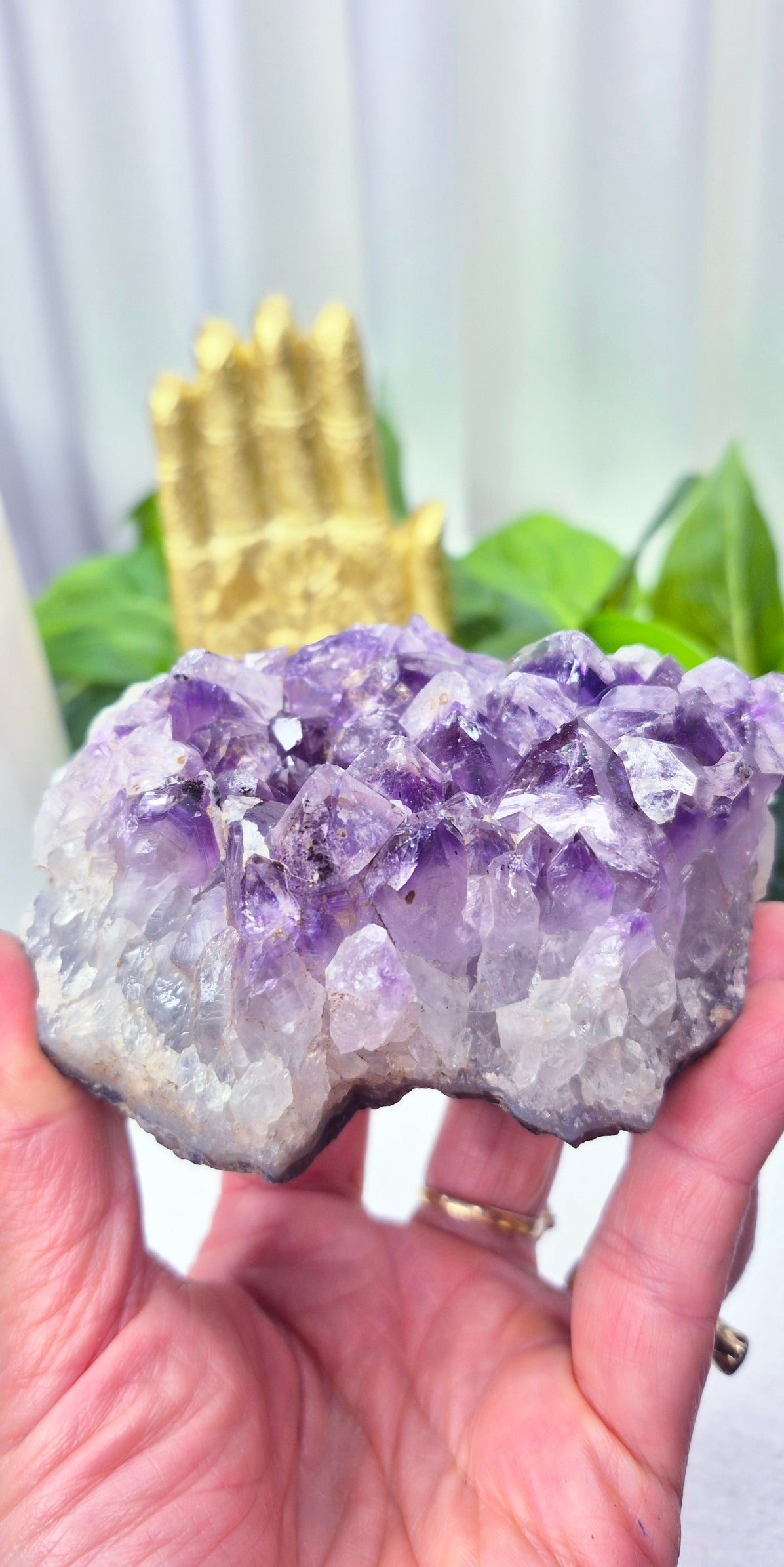 Raw Brazilian Amethyst Cluster #E