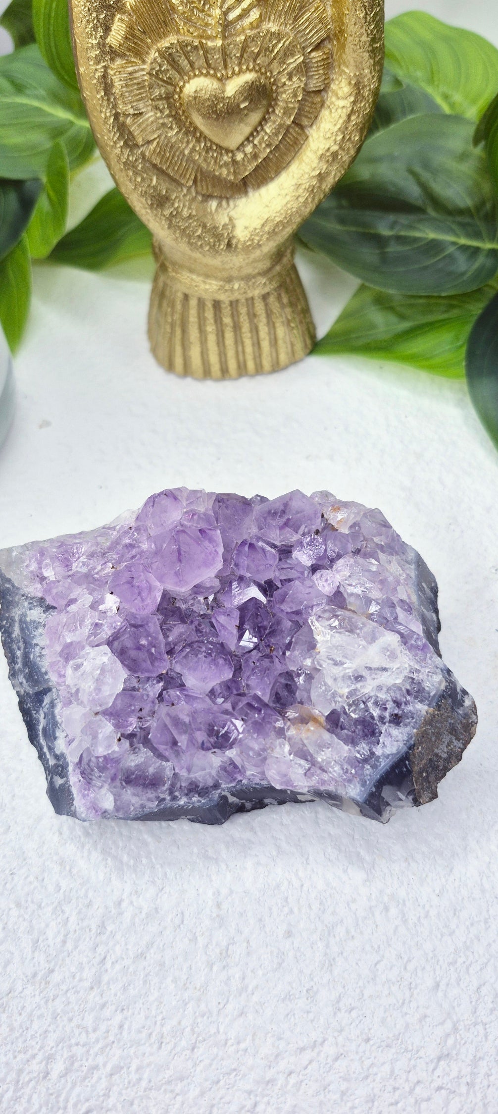 Raw Brazilian Amethyst Cluster #F
