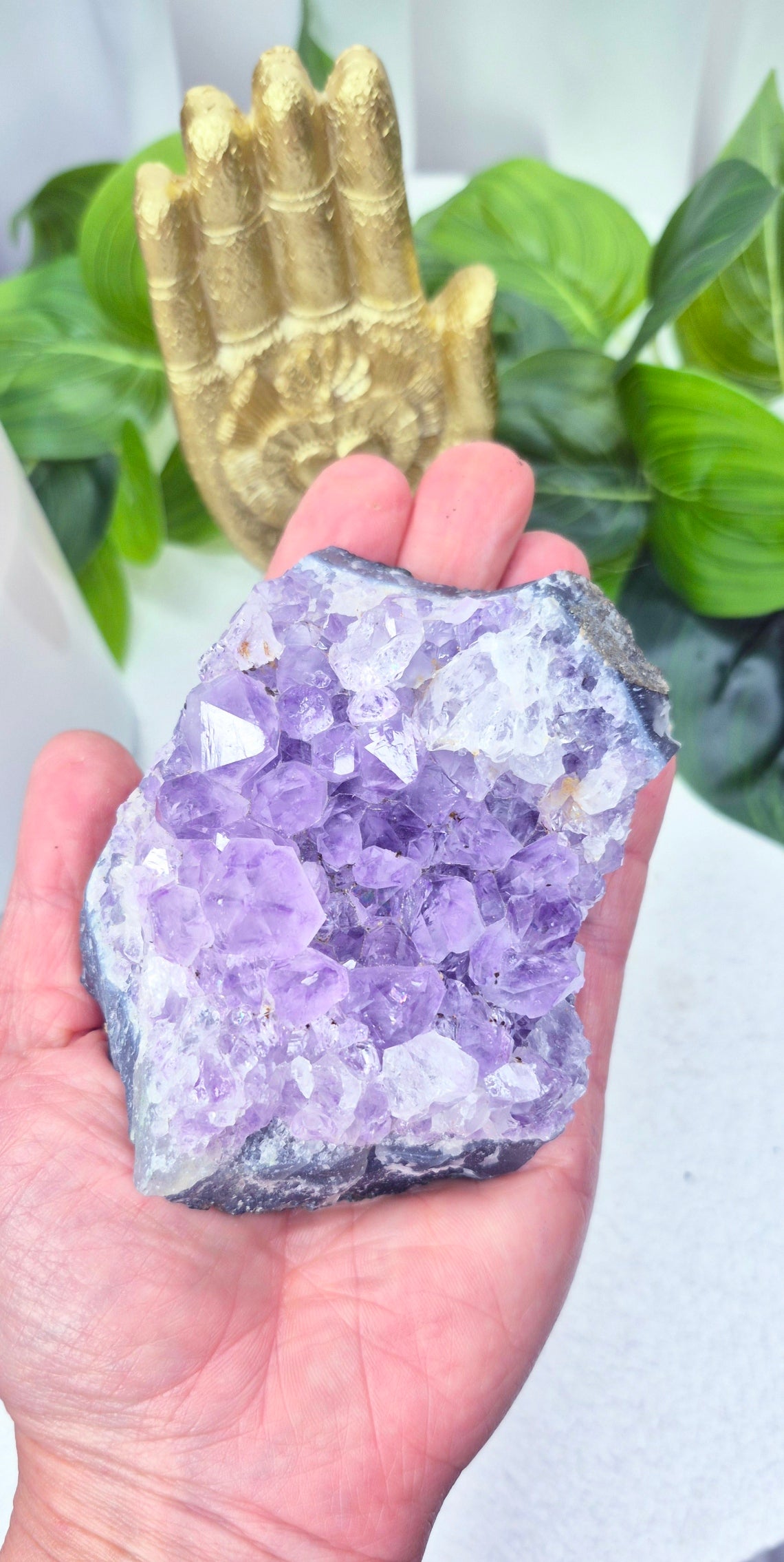 Raw Brazilian Amethyst Cluster #F